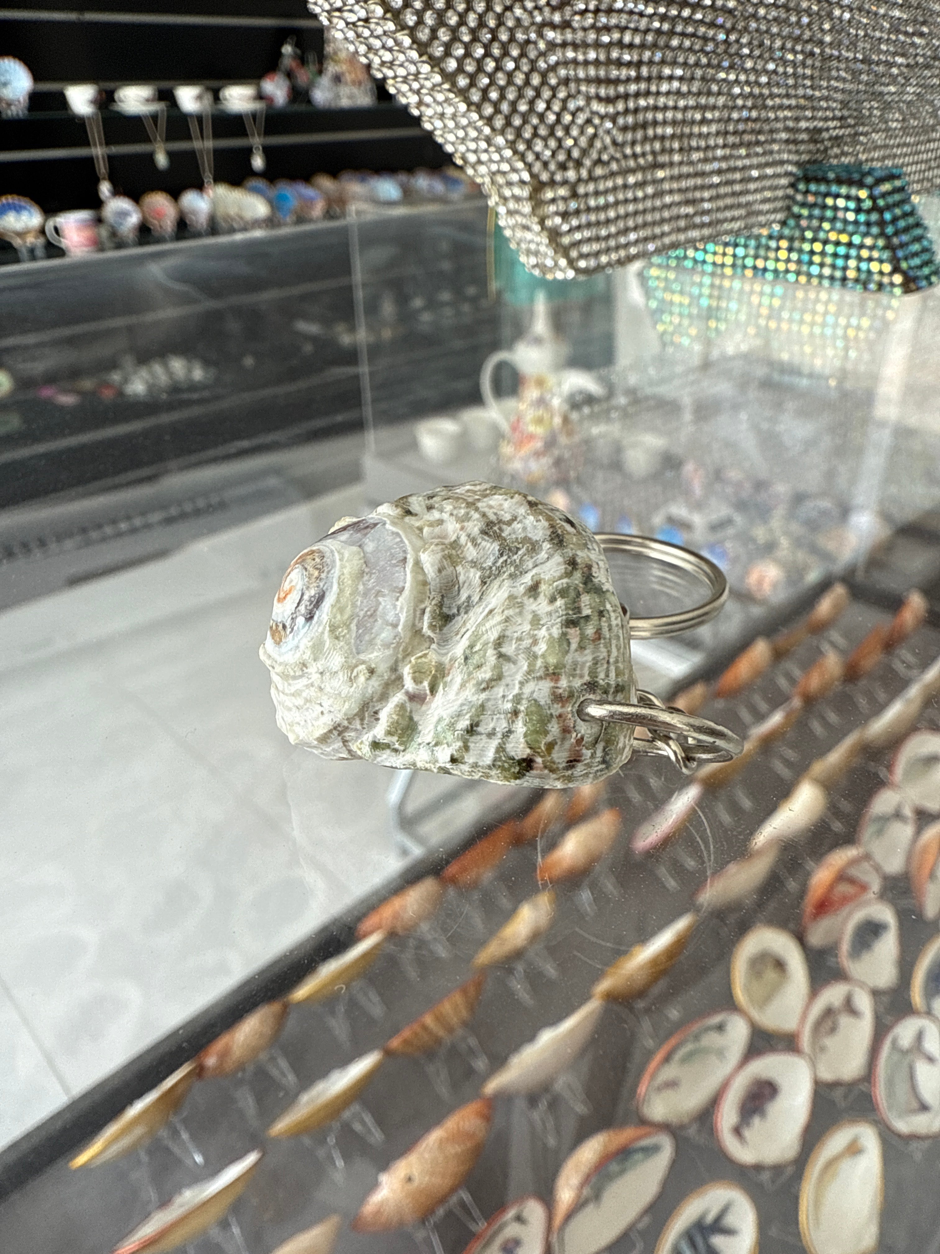 Natural UAE bonnet shell keychains ( keyring )