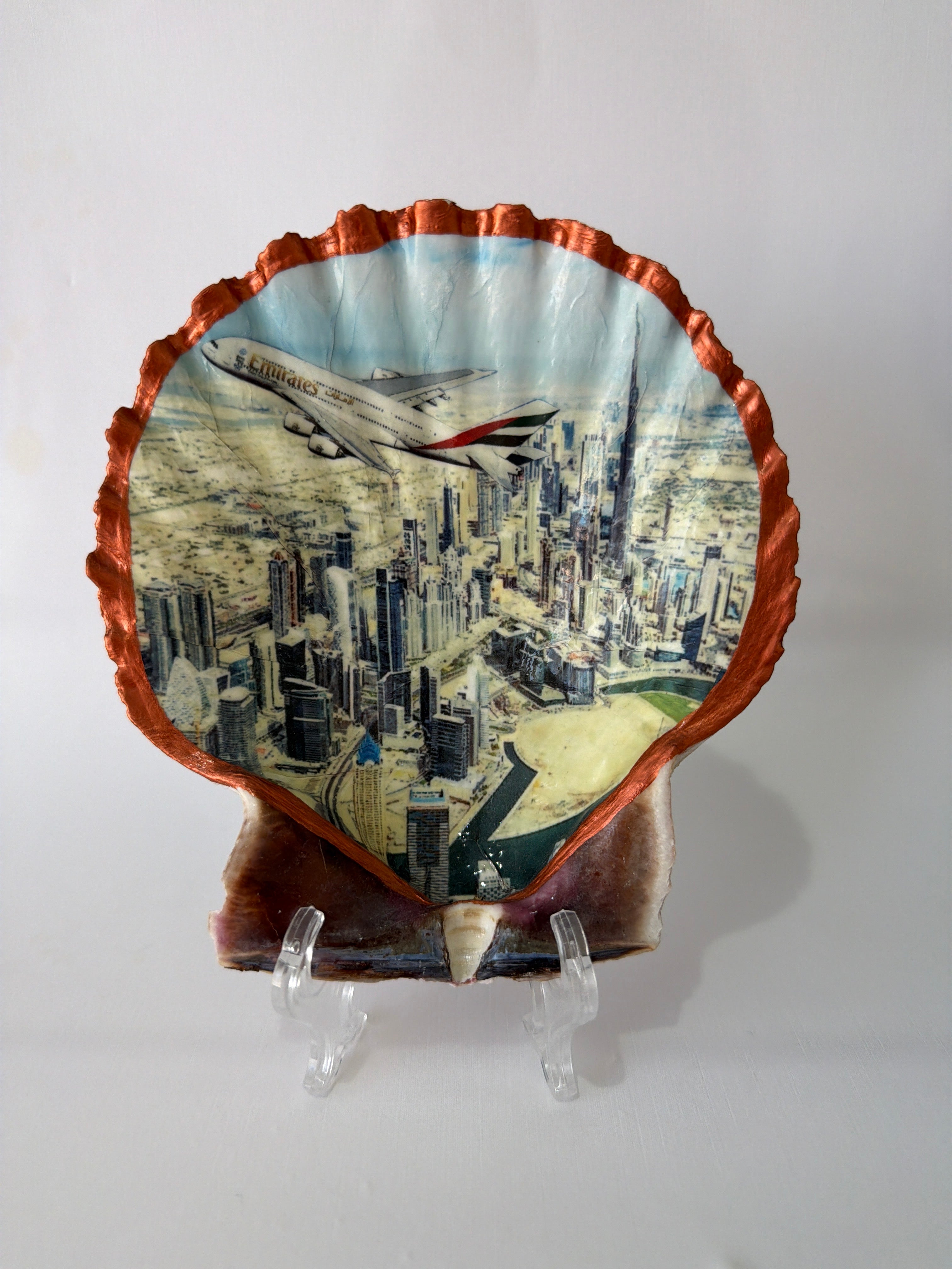 Scallop Art, Etihad 5.5”