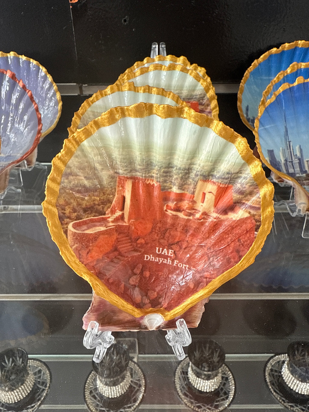 UAE Dhayah Fort, Scallop Shell