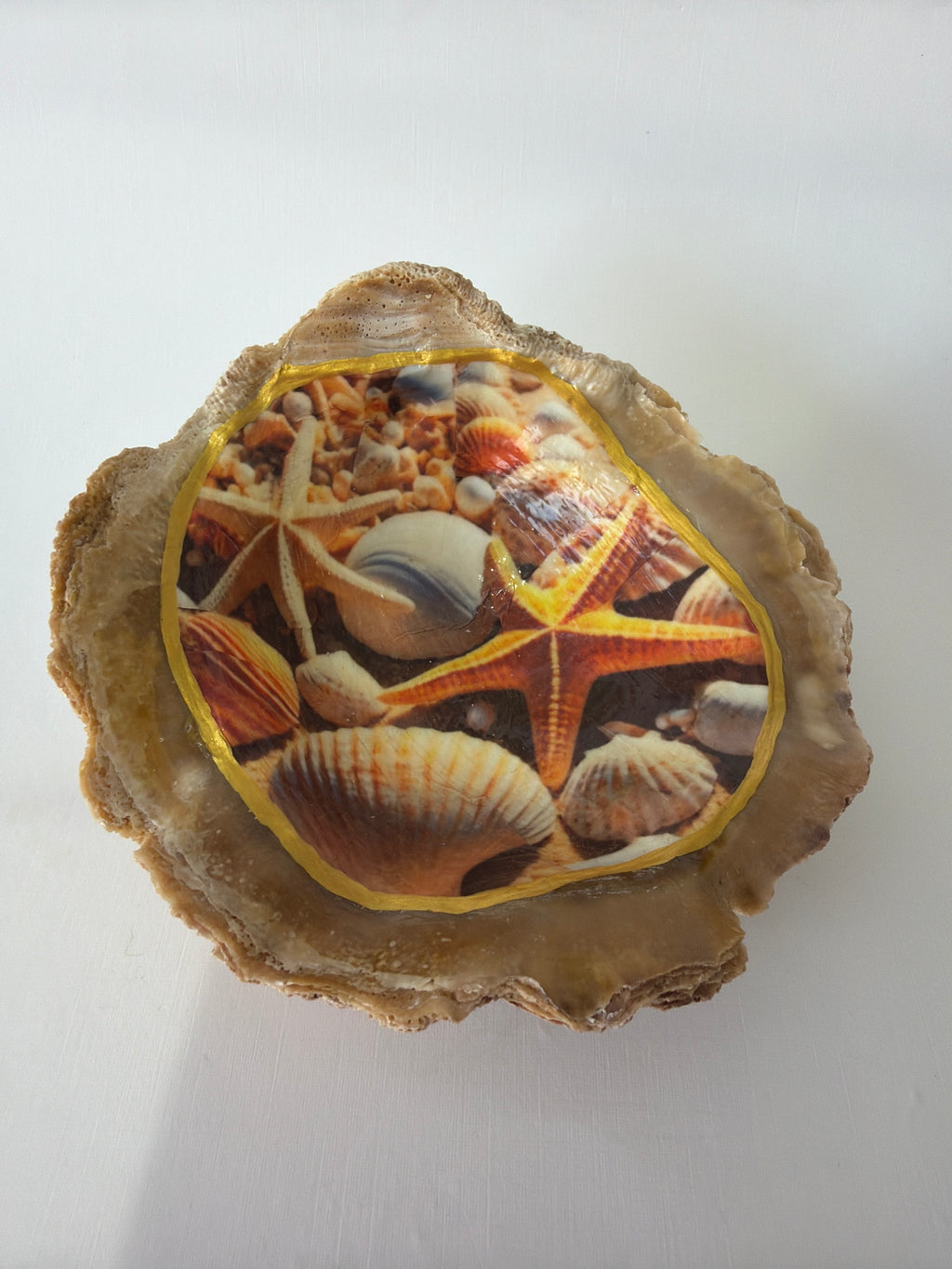 Oyster Art, jewelry tray shell trinket dish, 5”