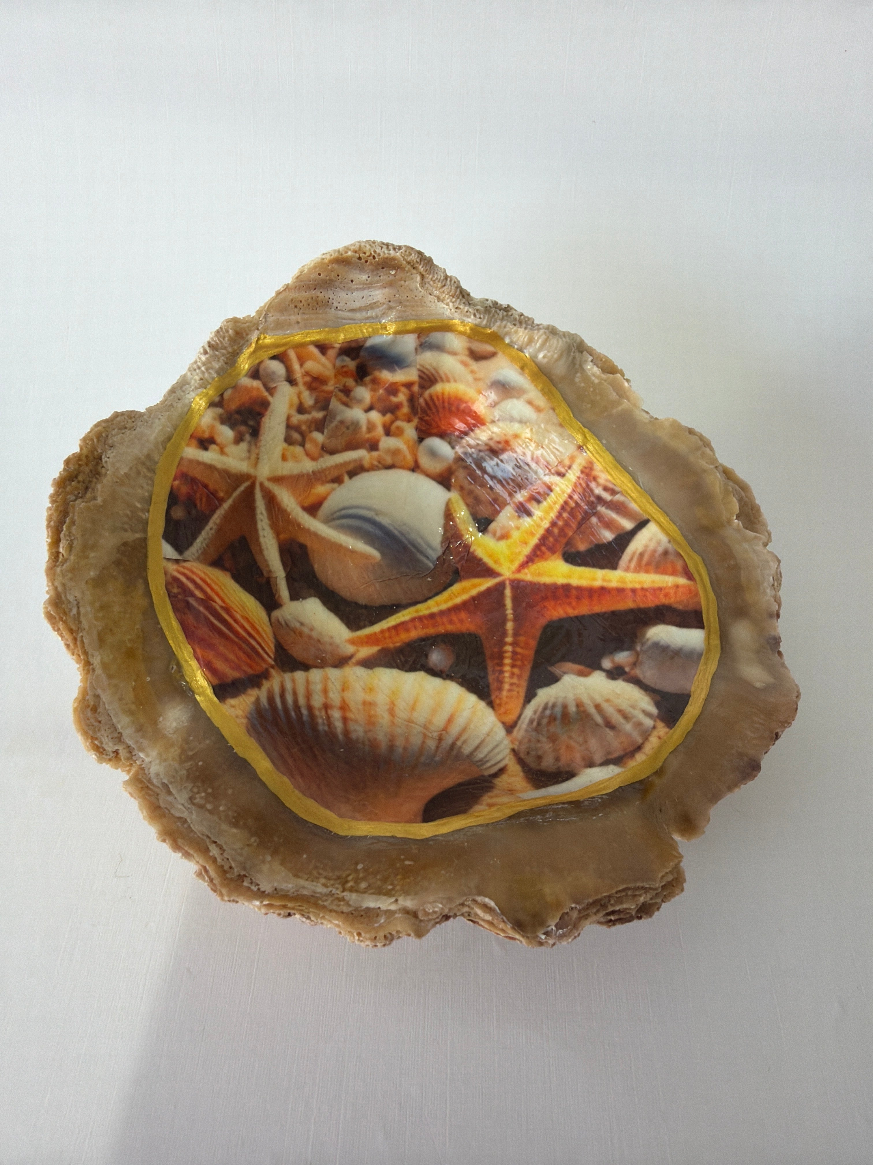 Oyster Art, jewelry tray shell trinket dish, 5”