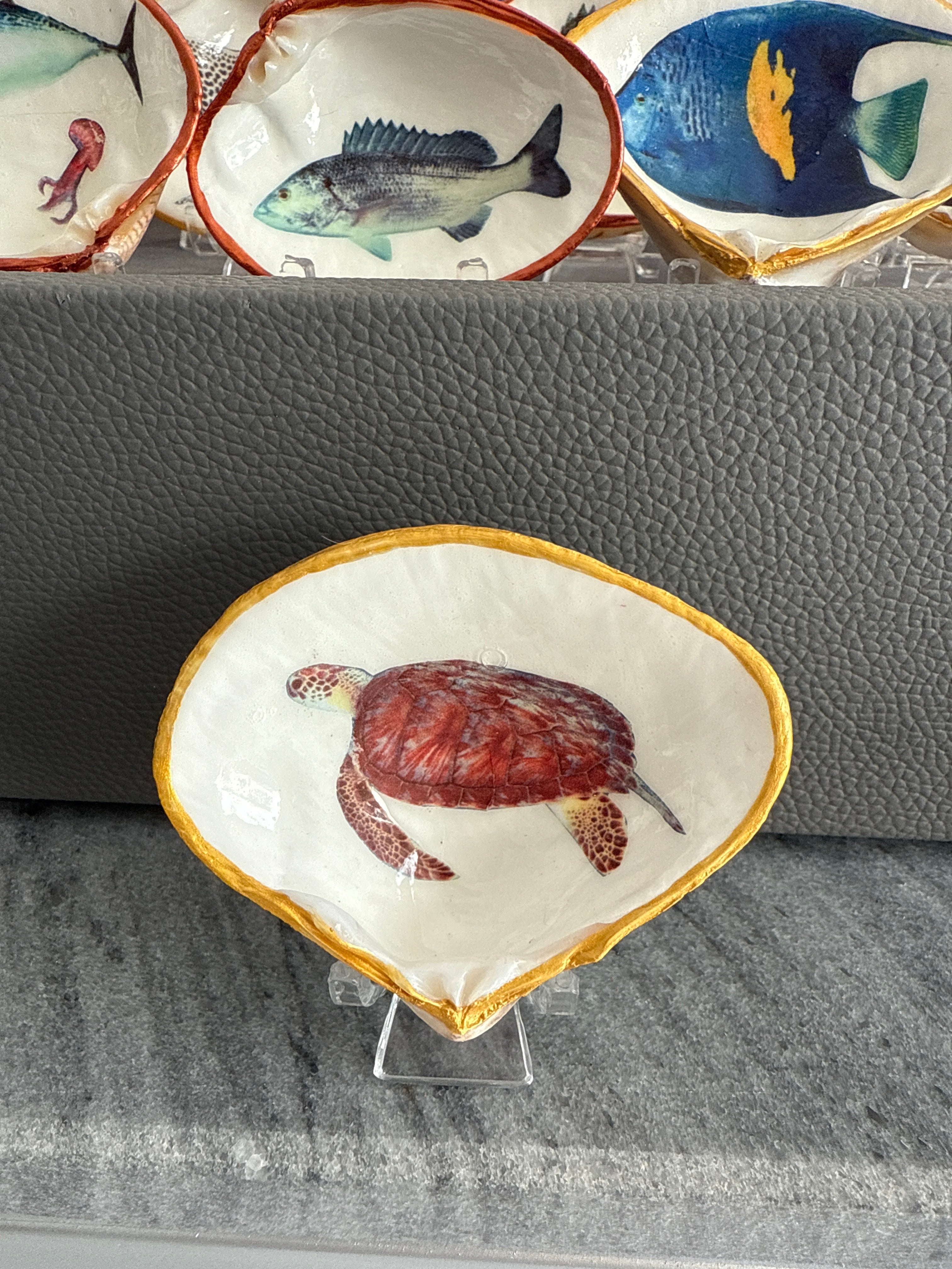 Turtle, Half Clam
