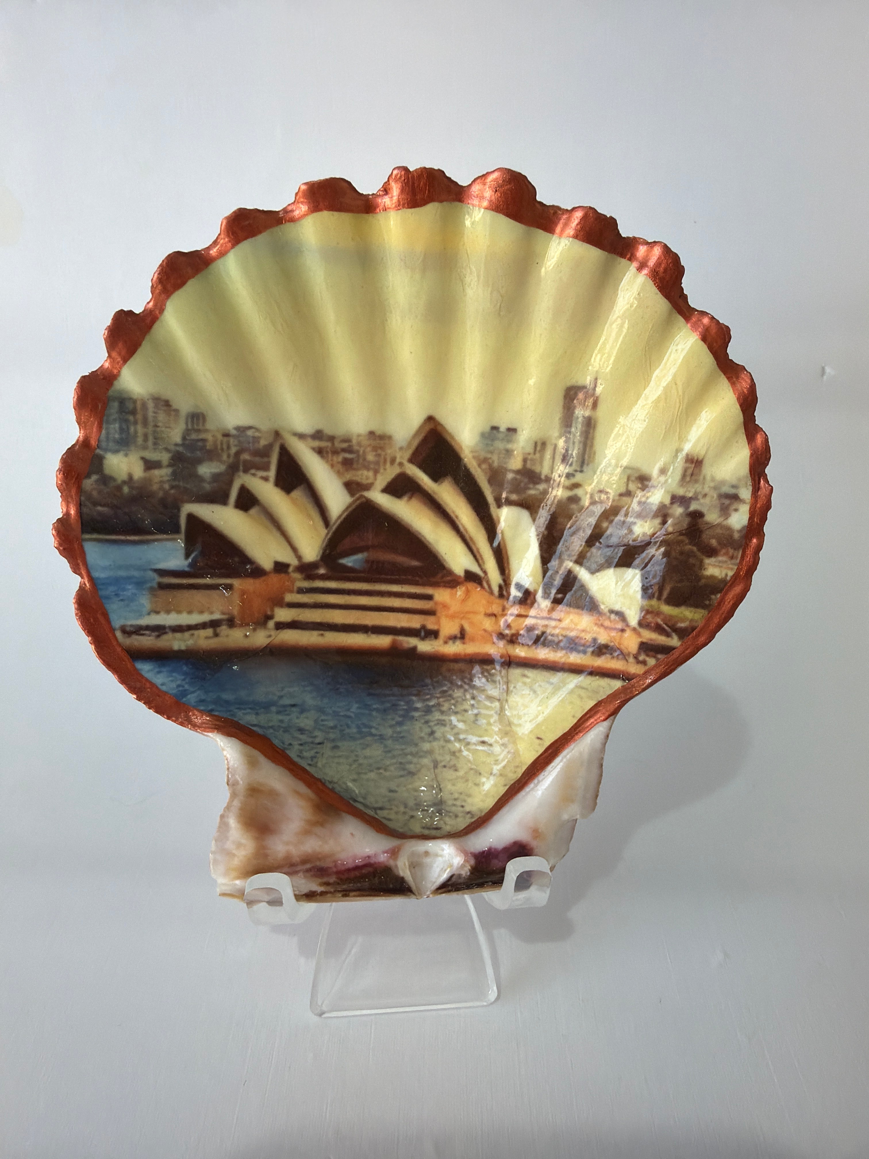 Scallop Art,  Australia, Opera House 4”