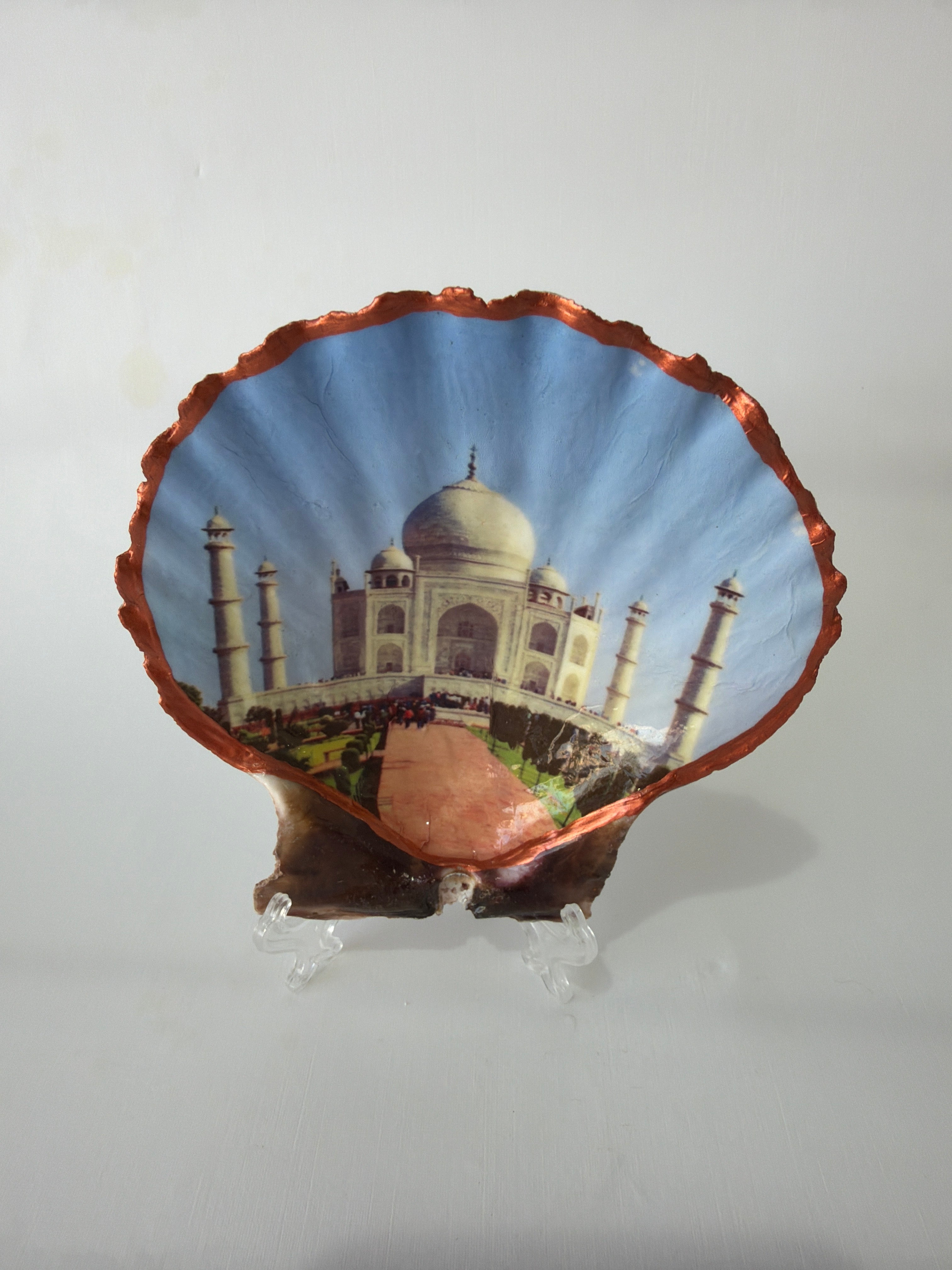 Scallop Art, India Taj Mahal 4”