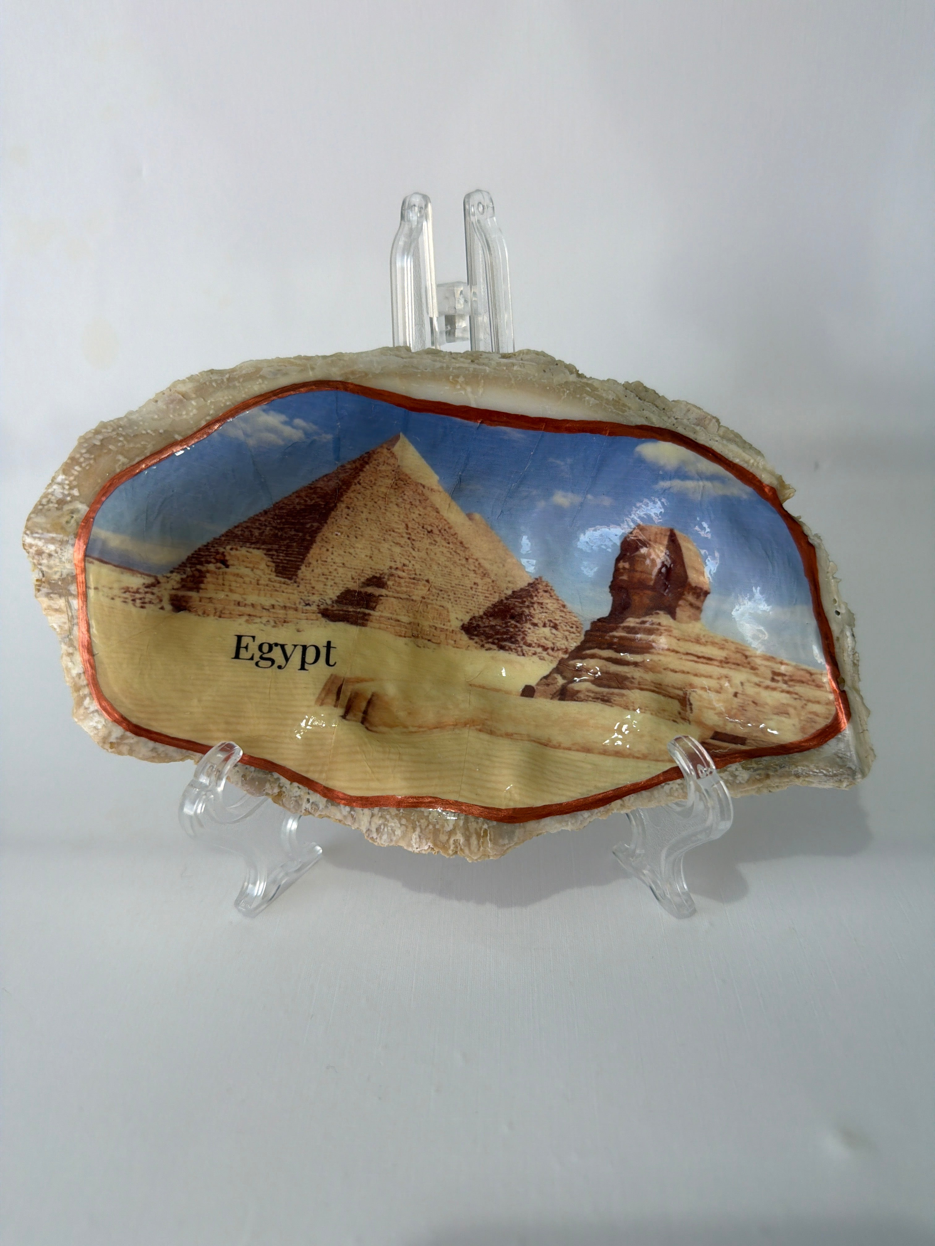 Oyster Art, Egypt 6.5”