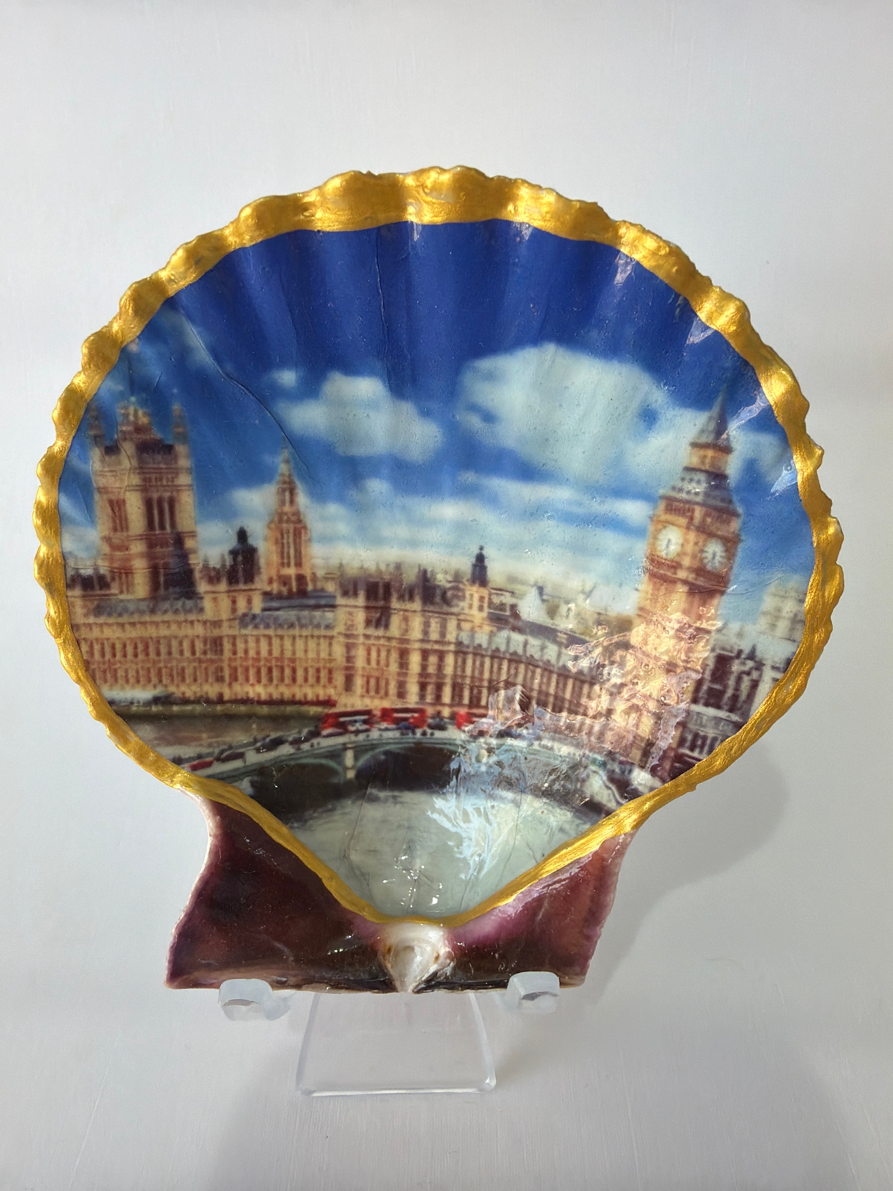 Scallop Art, House of Parliament, United Kingdom 3.9”