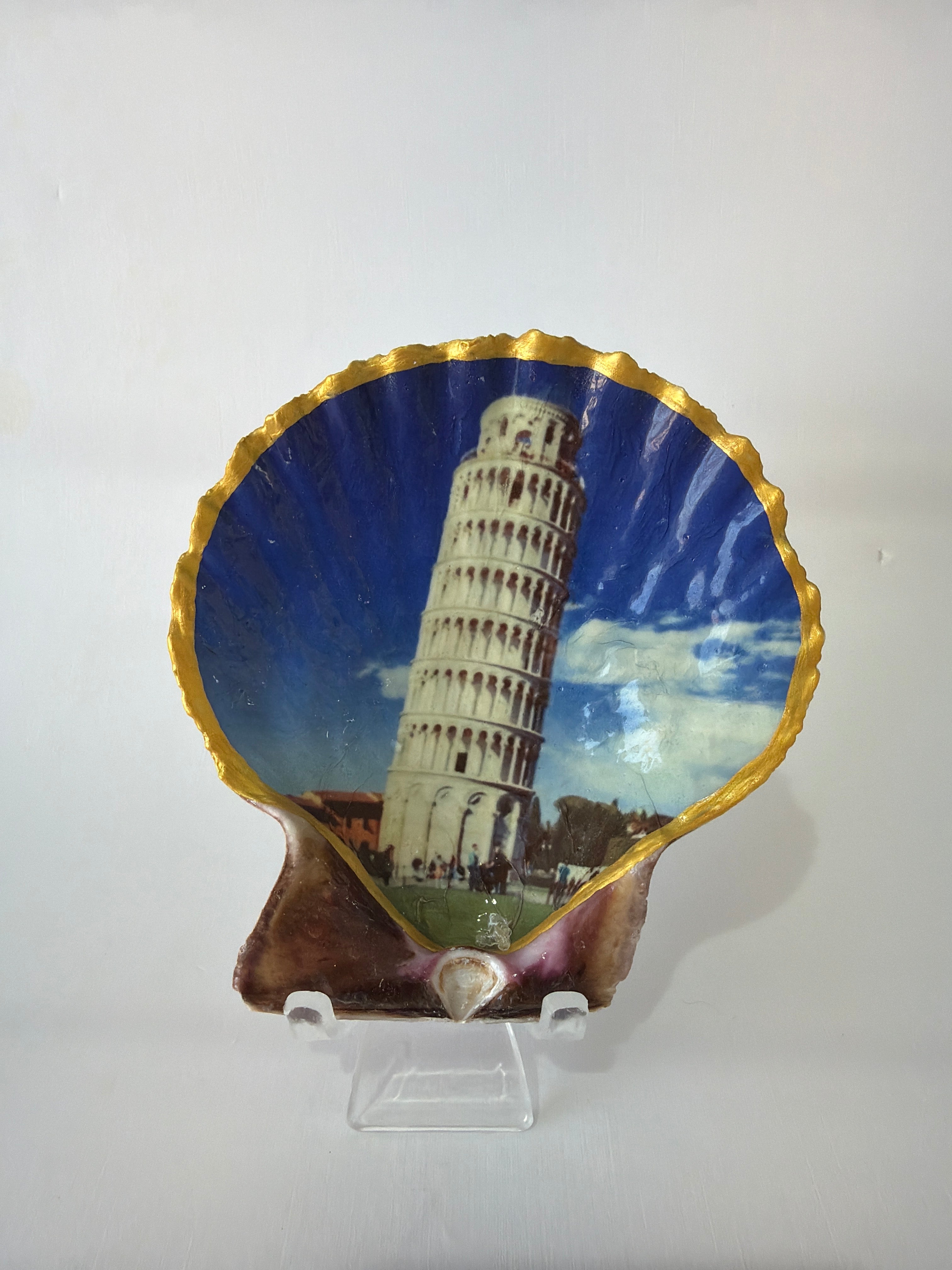Scallop Art, Leaning tower of Pisa  3.9”