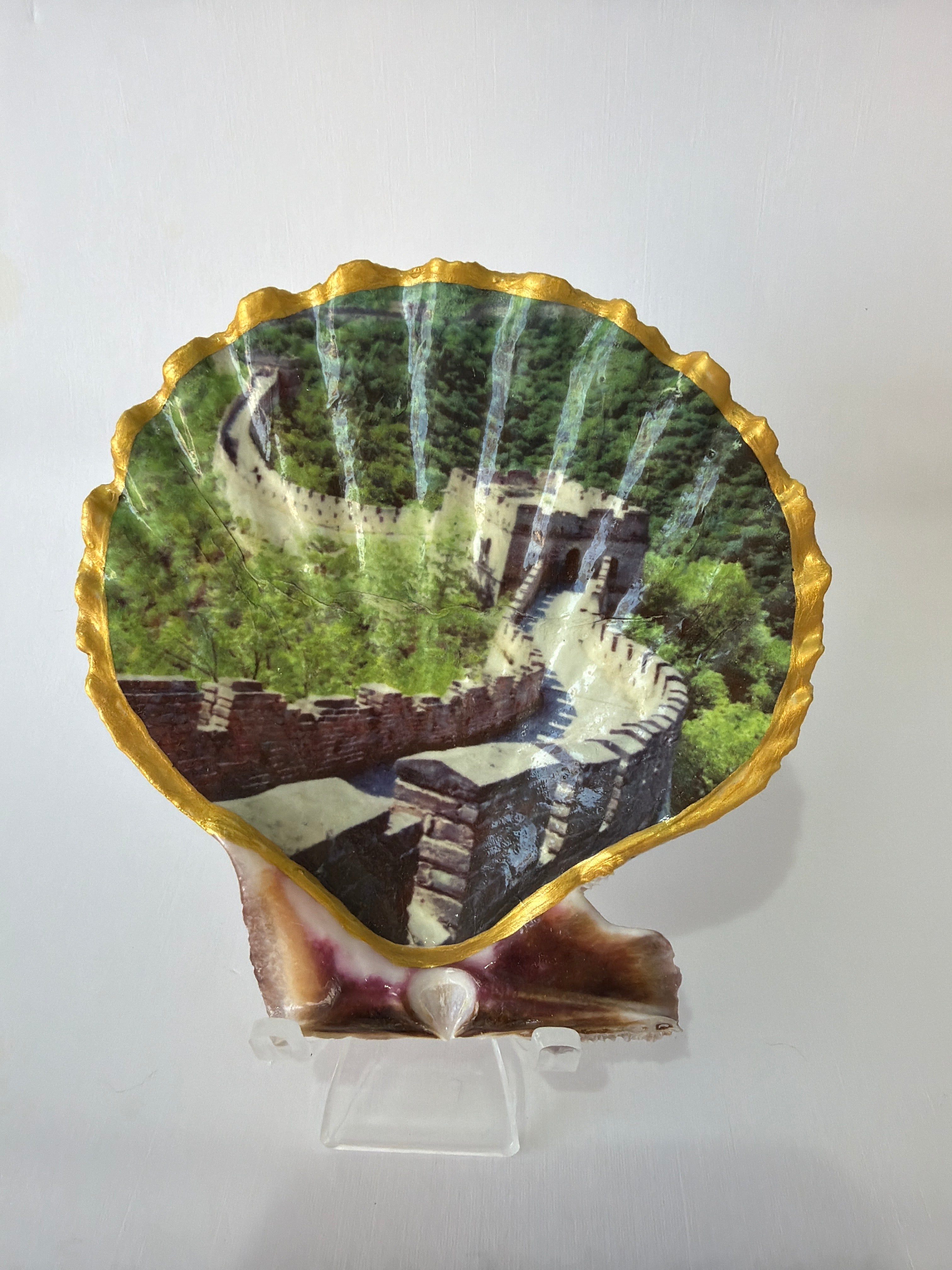 Scallop Art, Great wall of China 4”