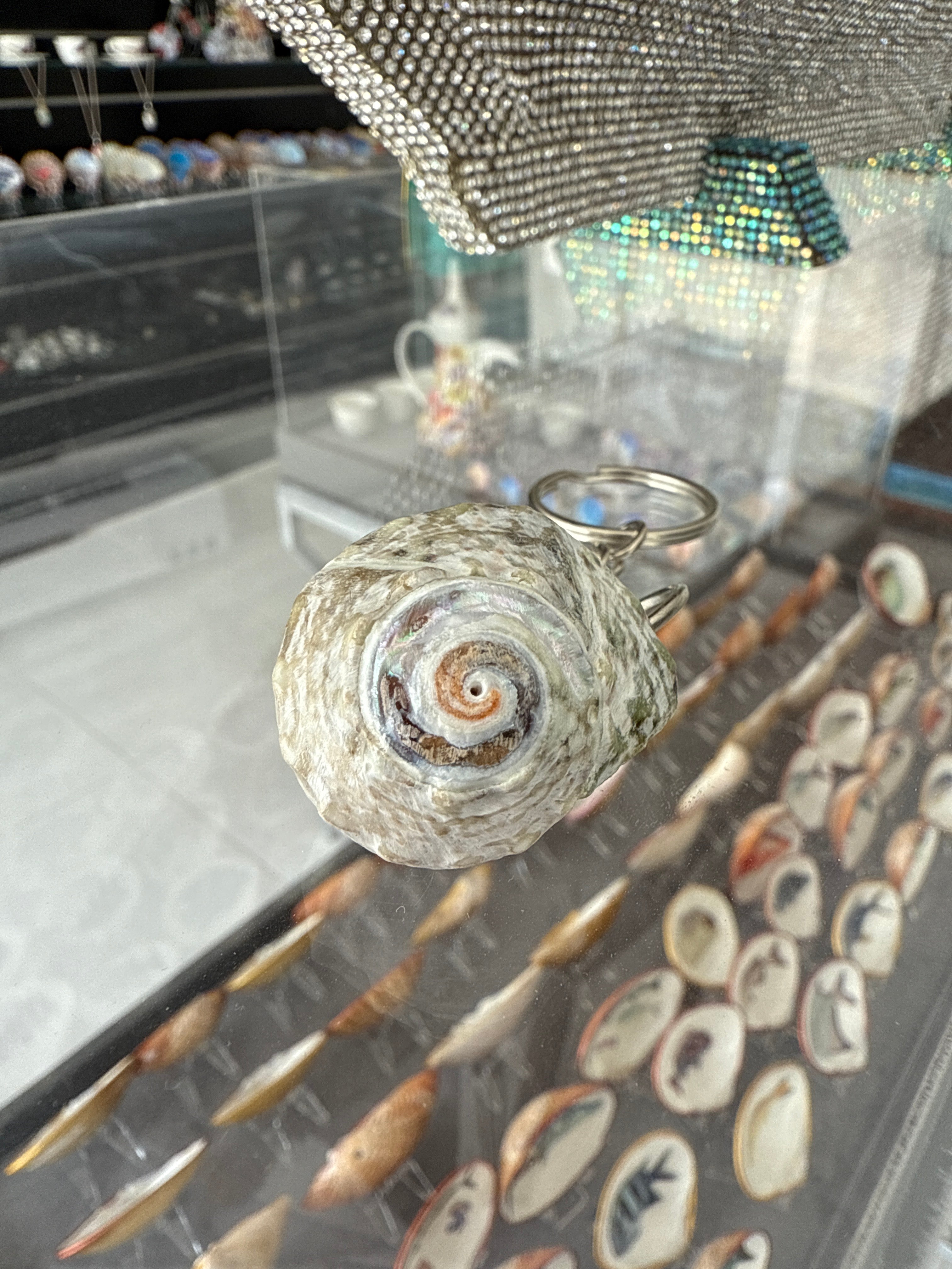 Natural UAE bonnet shell keychains ( keyring )