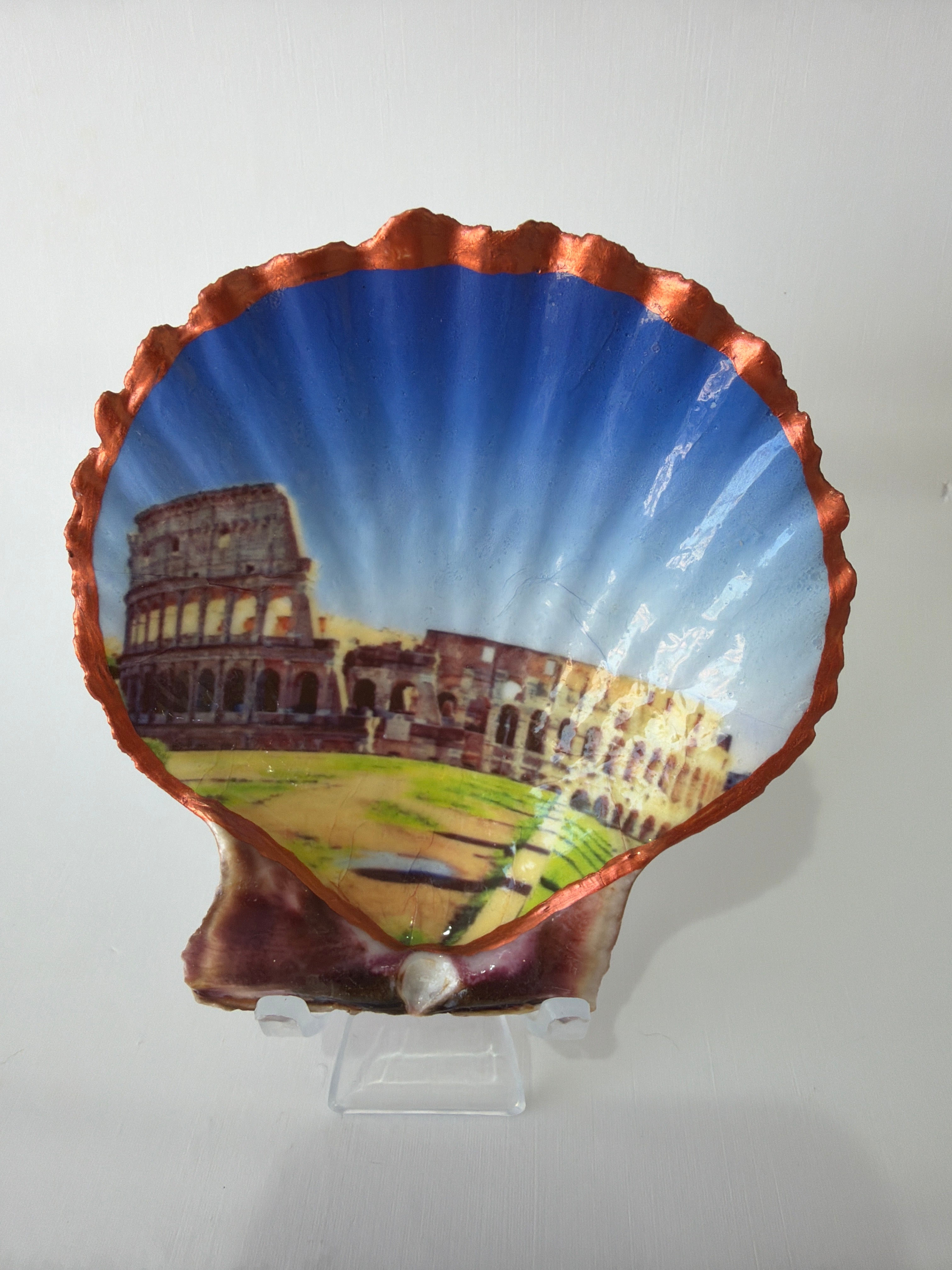 Scallop Art, Colosseum Italy 4”