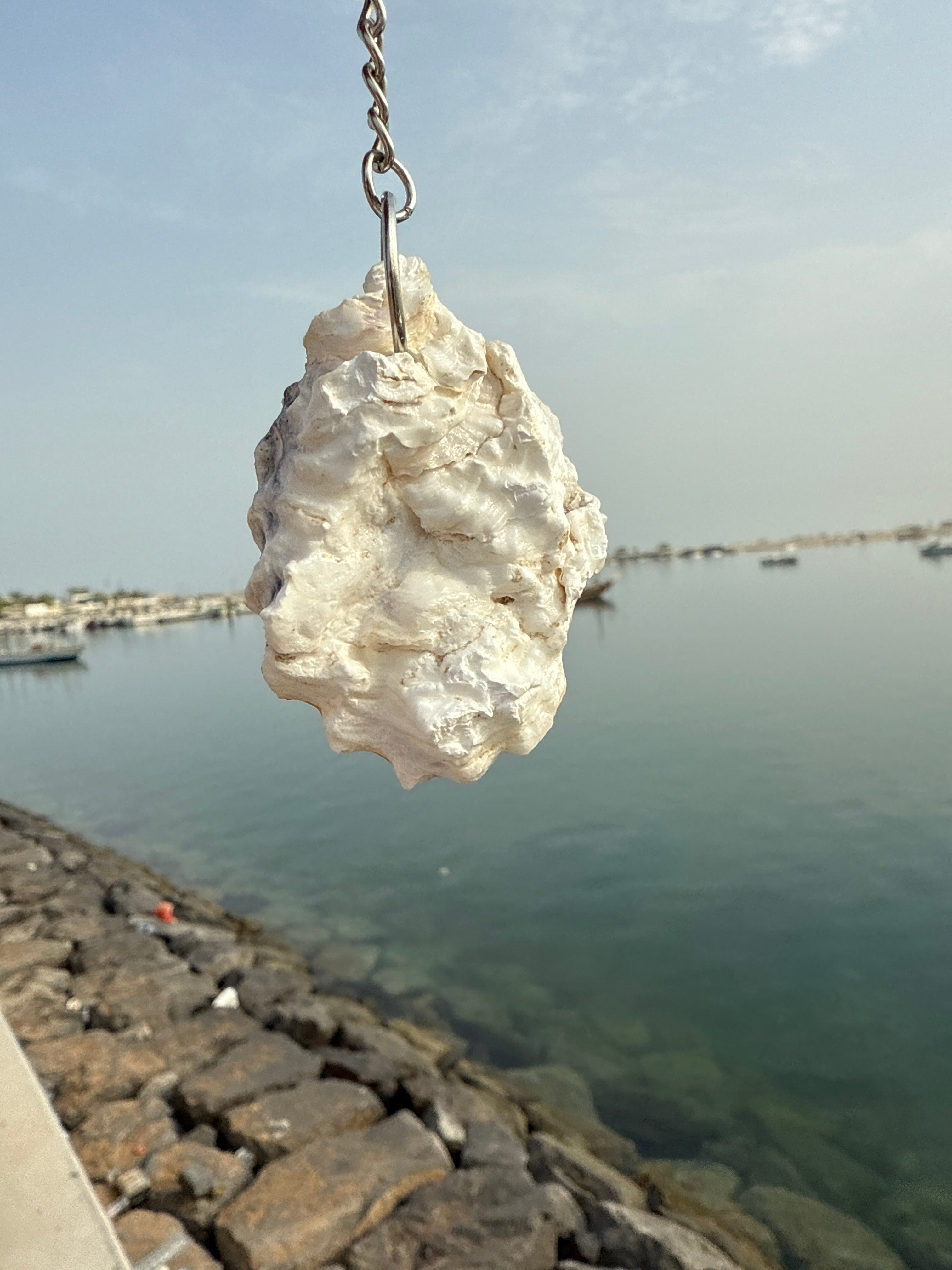 Natural UAE oyster keychains ( keyring )