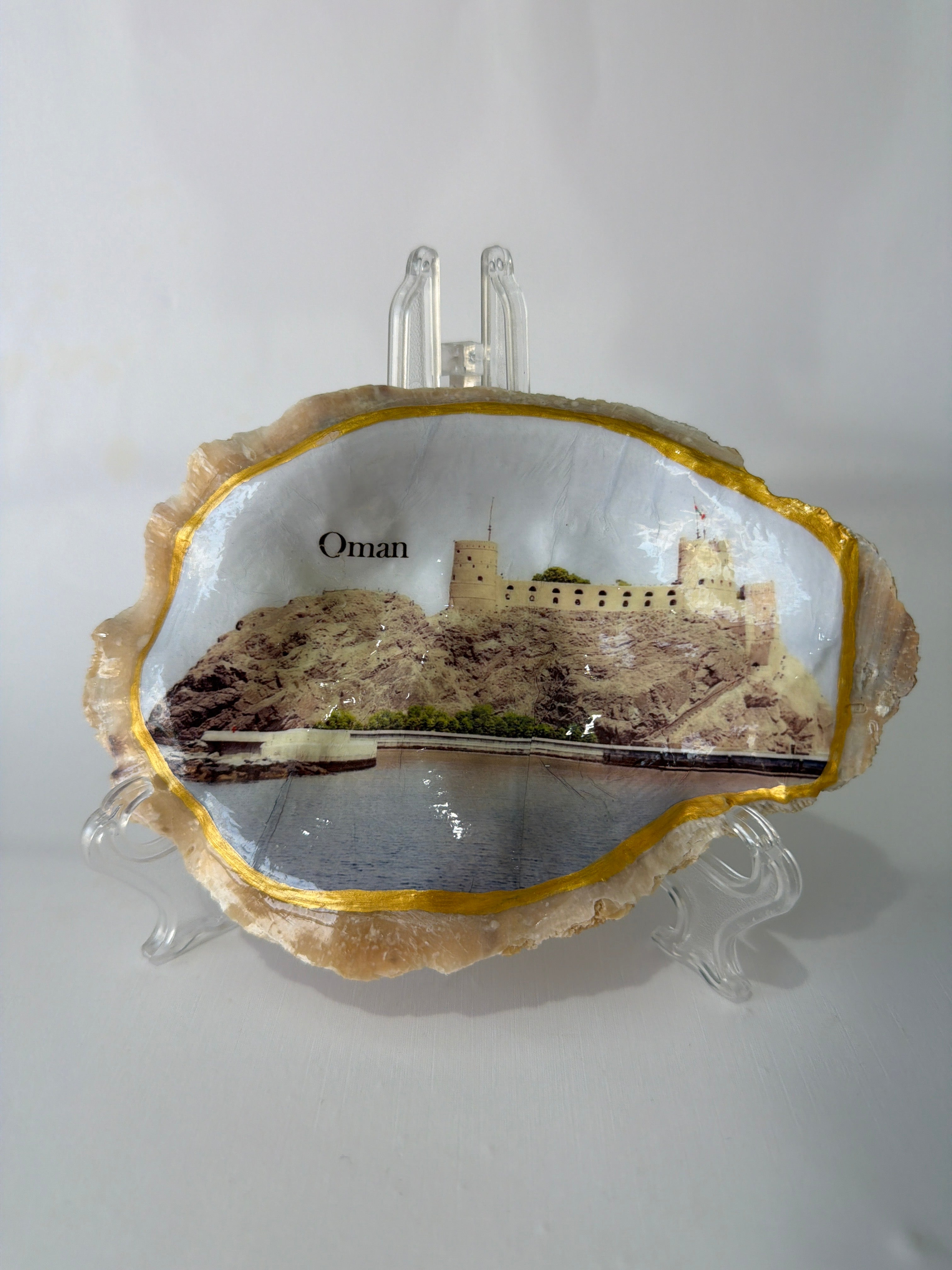 Oyster Art, Oman 6.4”