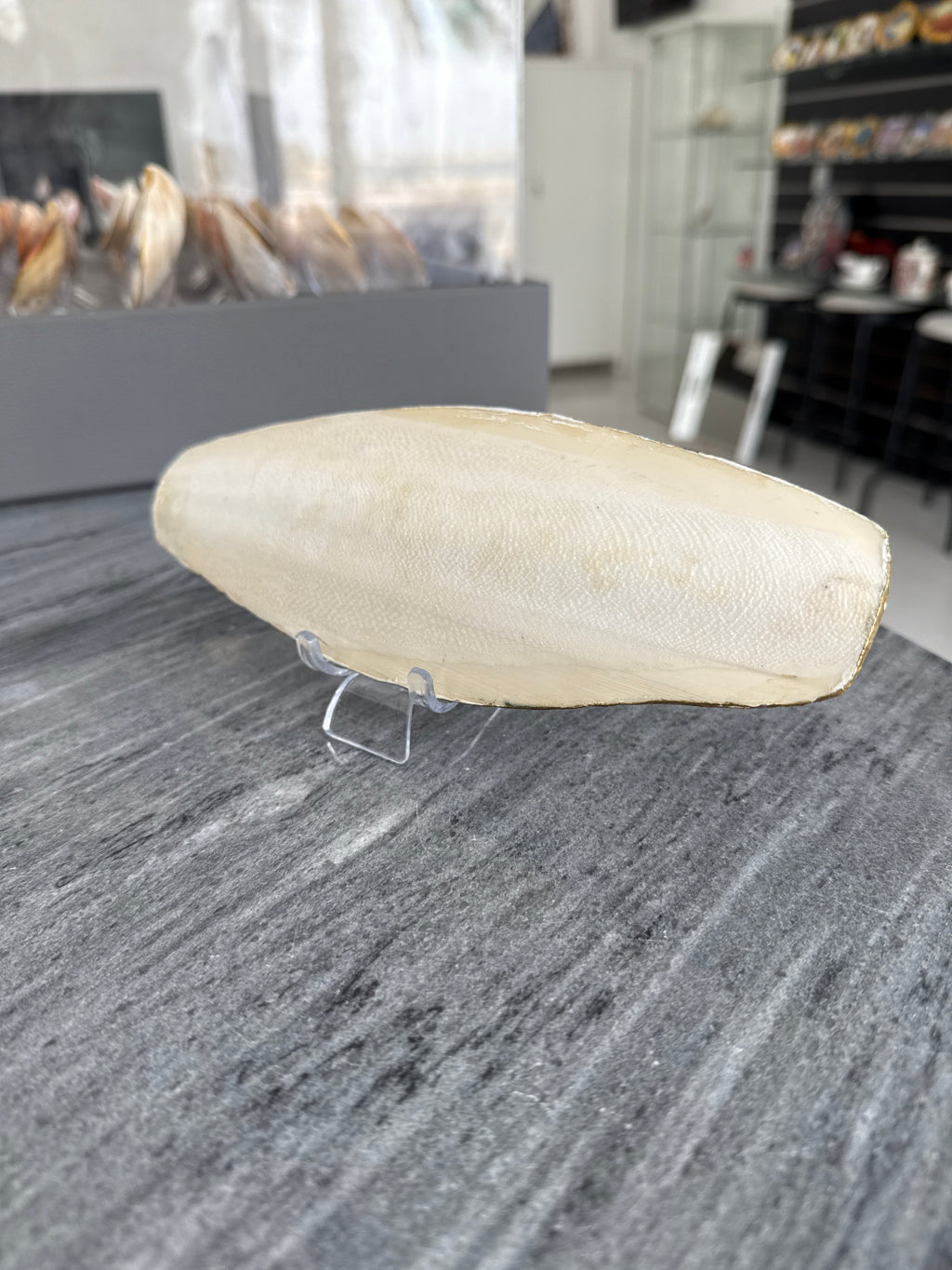 Burj Khalifa, Perfect Cuttlefish Art