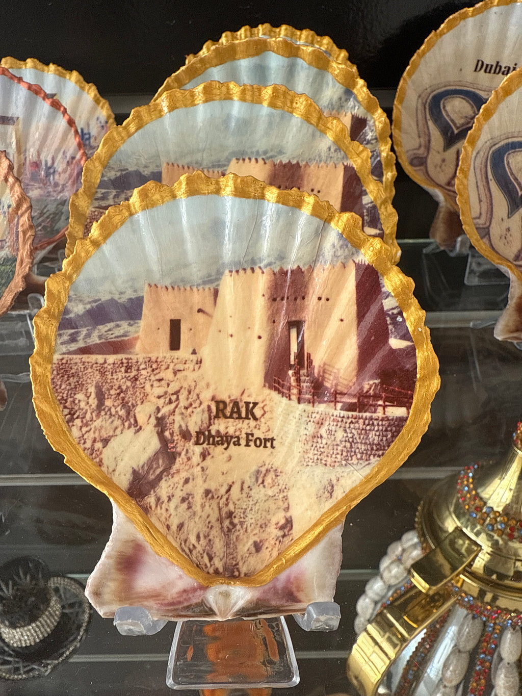 RAK Dhaya Fort, Scallop Shell