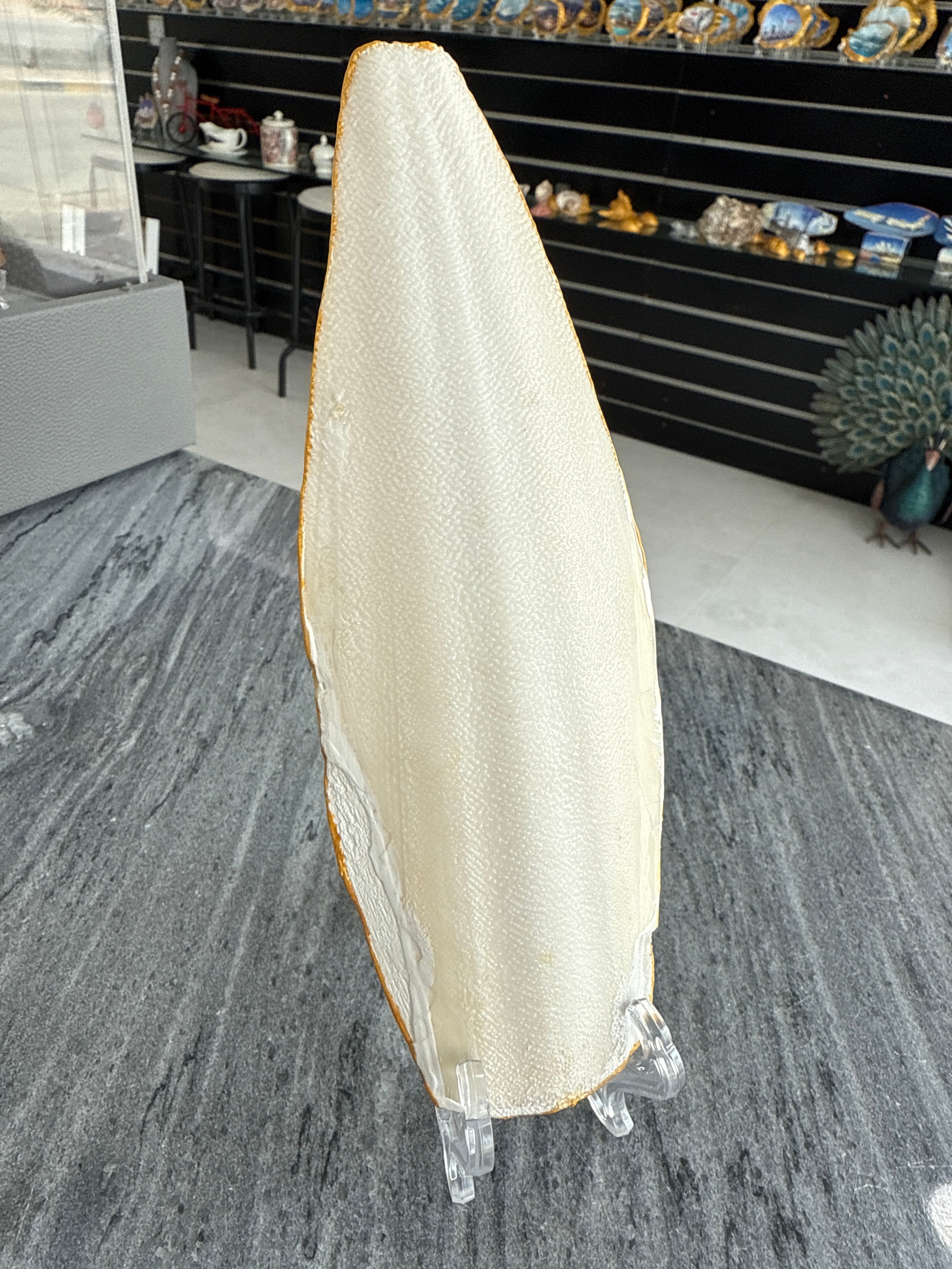 Burj Khalifa, Perfect Cuttlefish Art