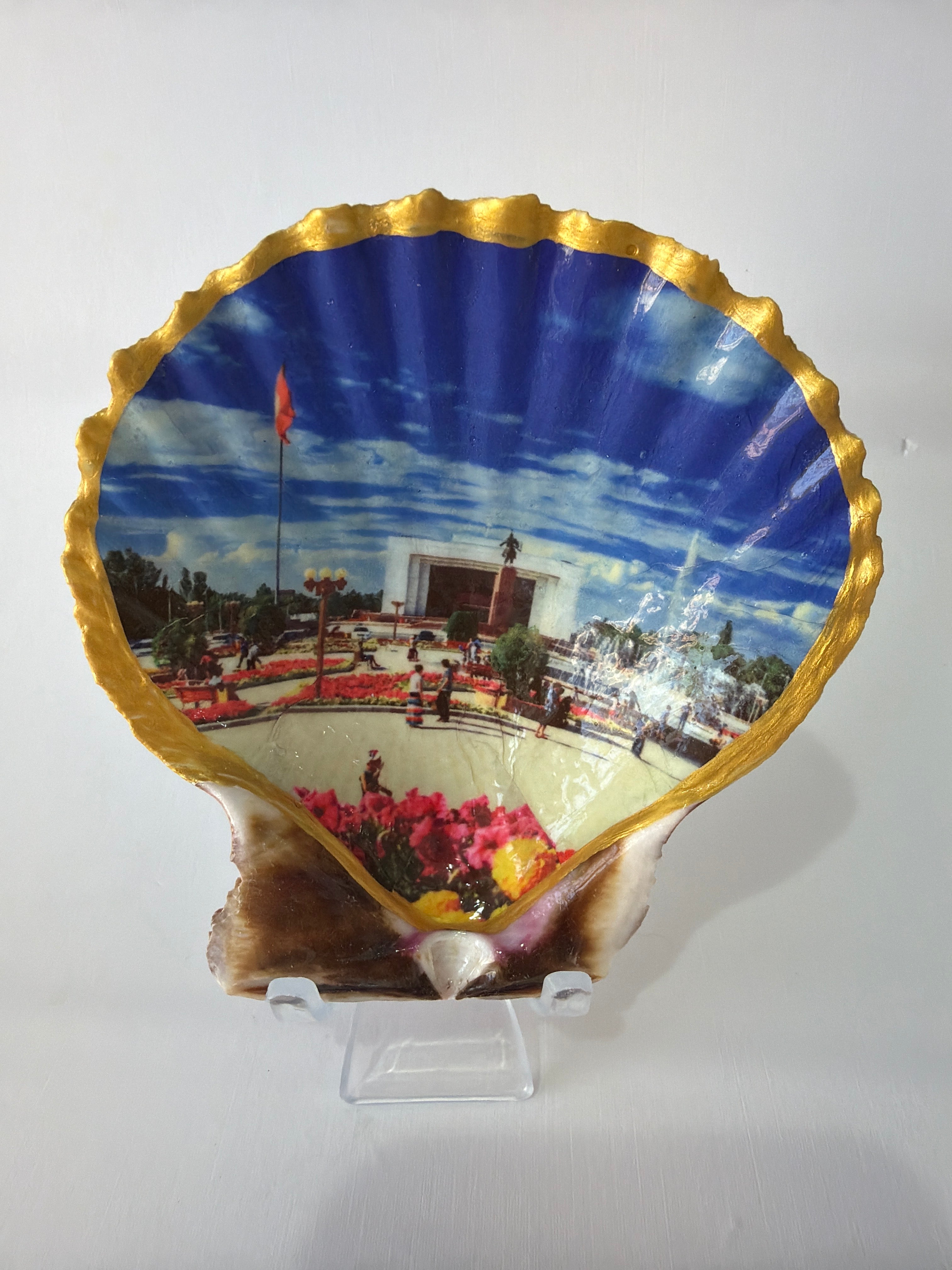 Scallop Art, Kyrgyzstan 4”