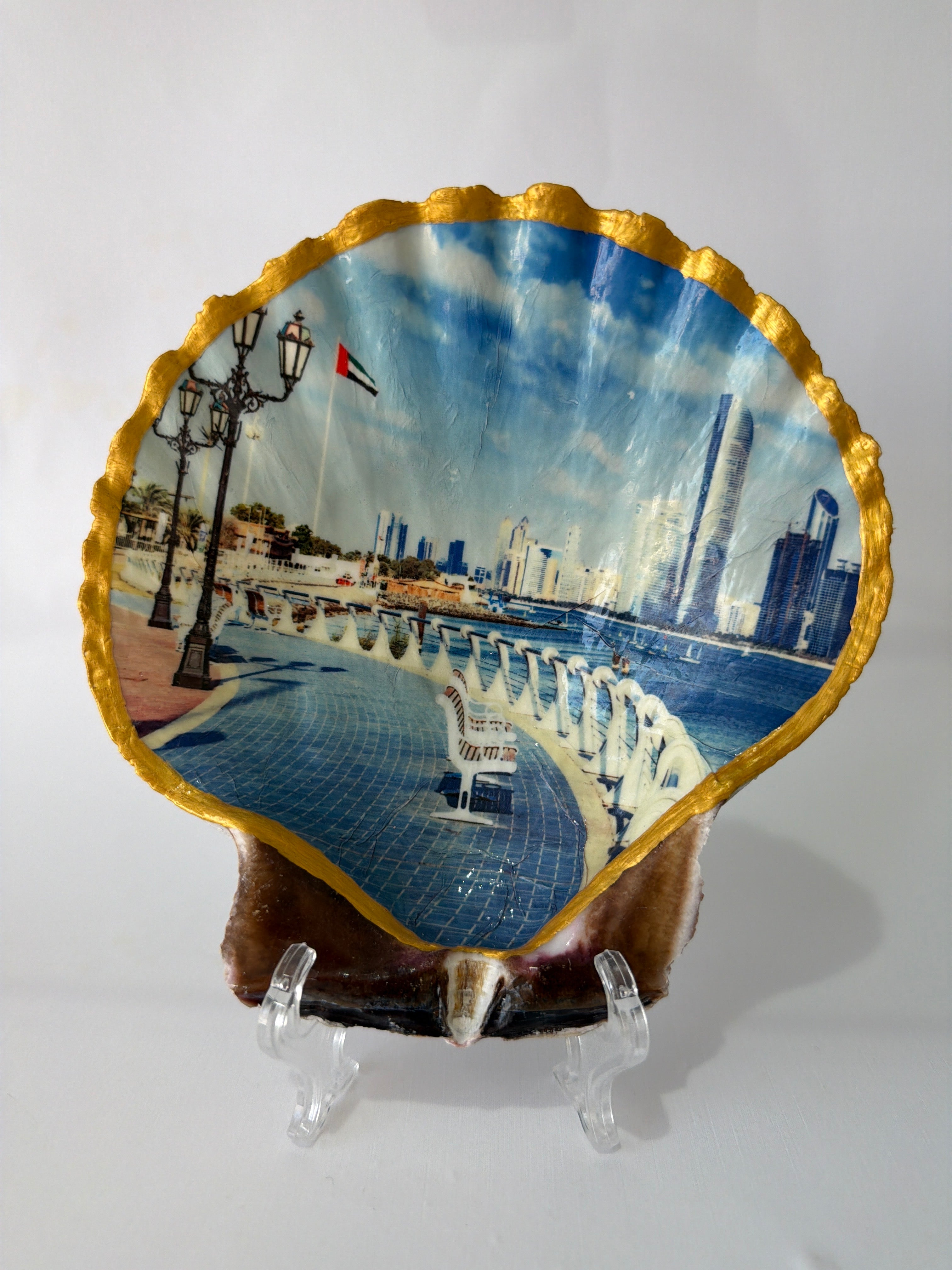 Scallop Art, Abu Dhabi, Cornish 6”