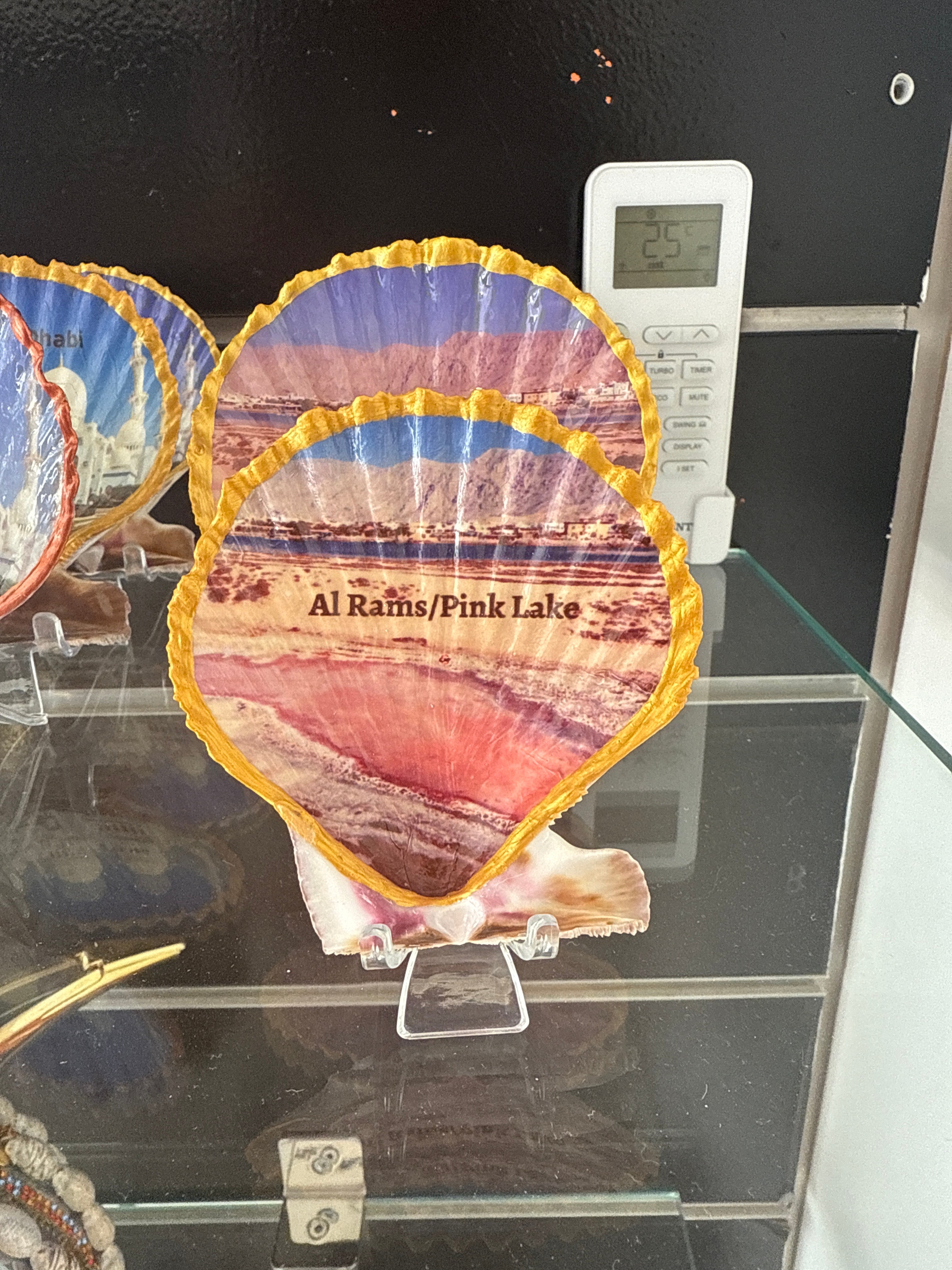 Al Rams, Pink Lake, Scallop Shell