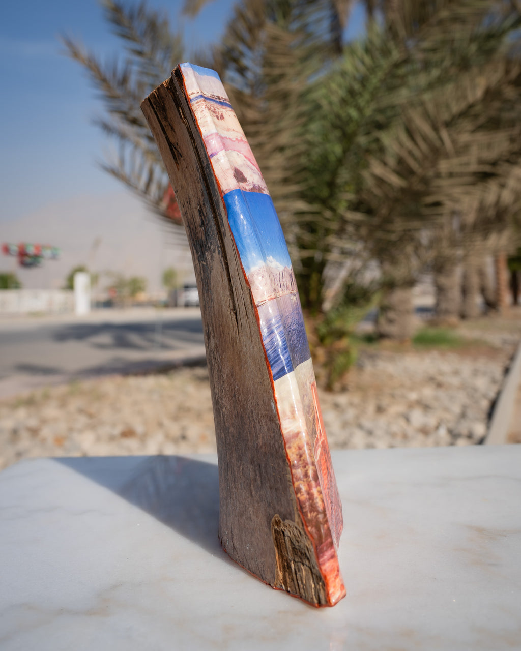 Date Tree Art, Ras al Khaimah