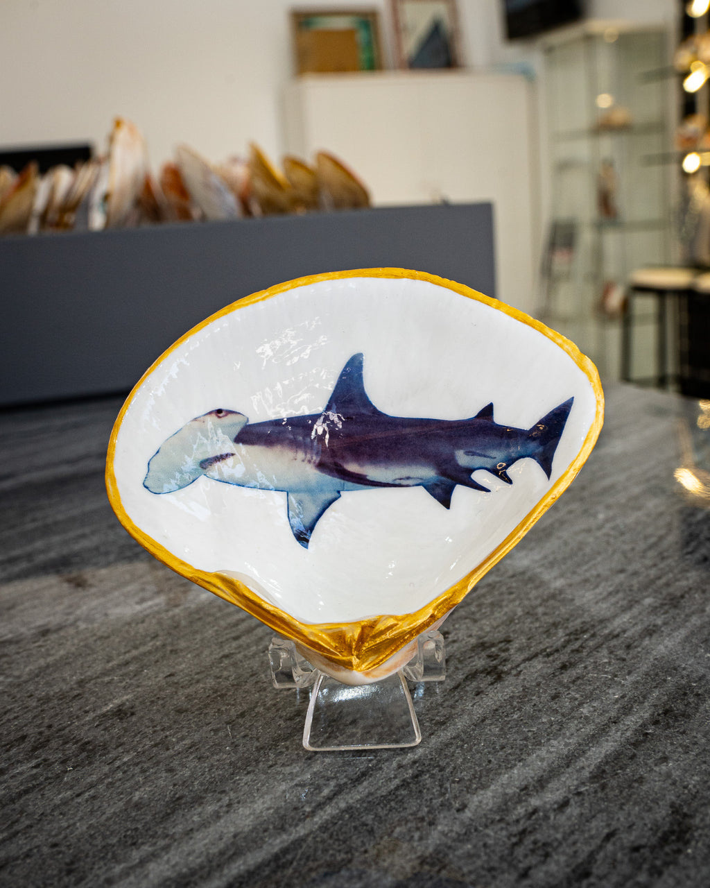 Half Clam Shell, Hammer Head Shark,