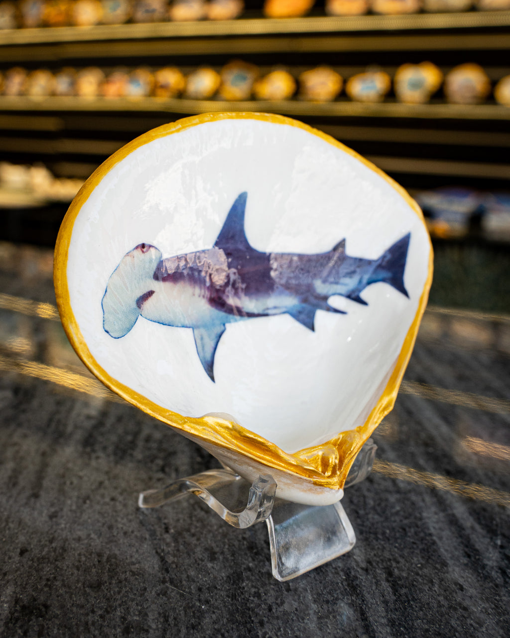 Half Clam Shell, Hammer Head Shark,