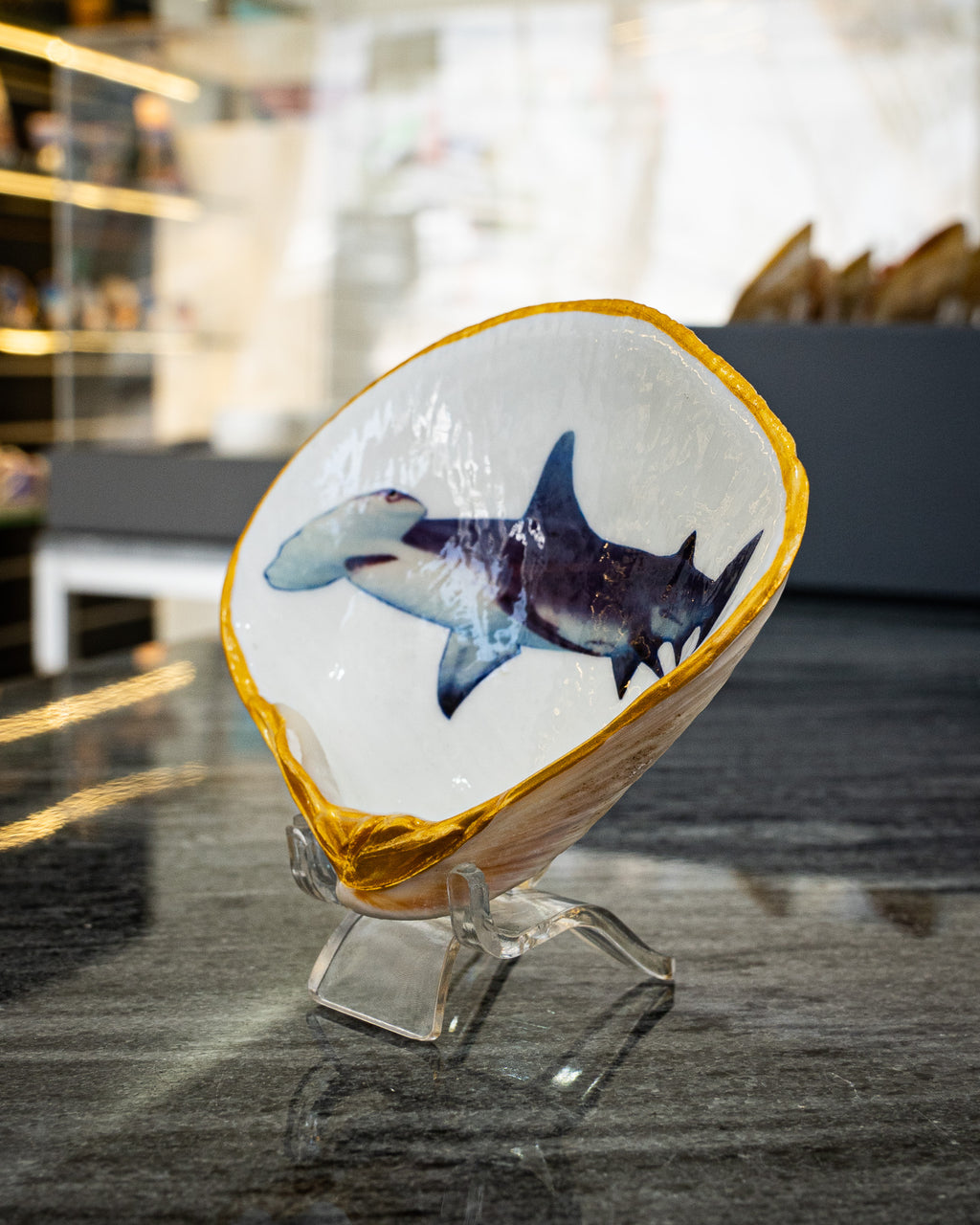 Half Clam Shell, Hammer Head Shark,