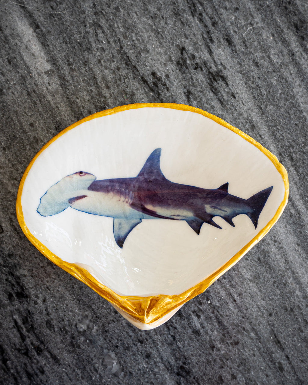 Half Clam Shell, Hammer Head Shark,