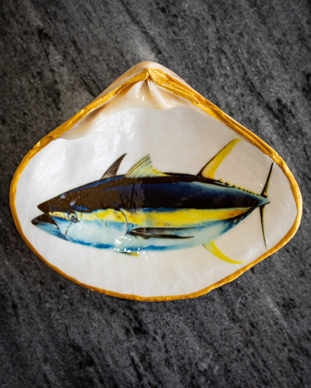 Half Clam Shell, Tuna Fish