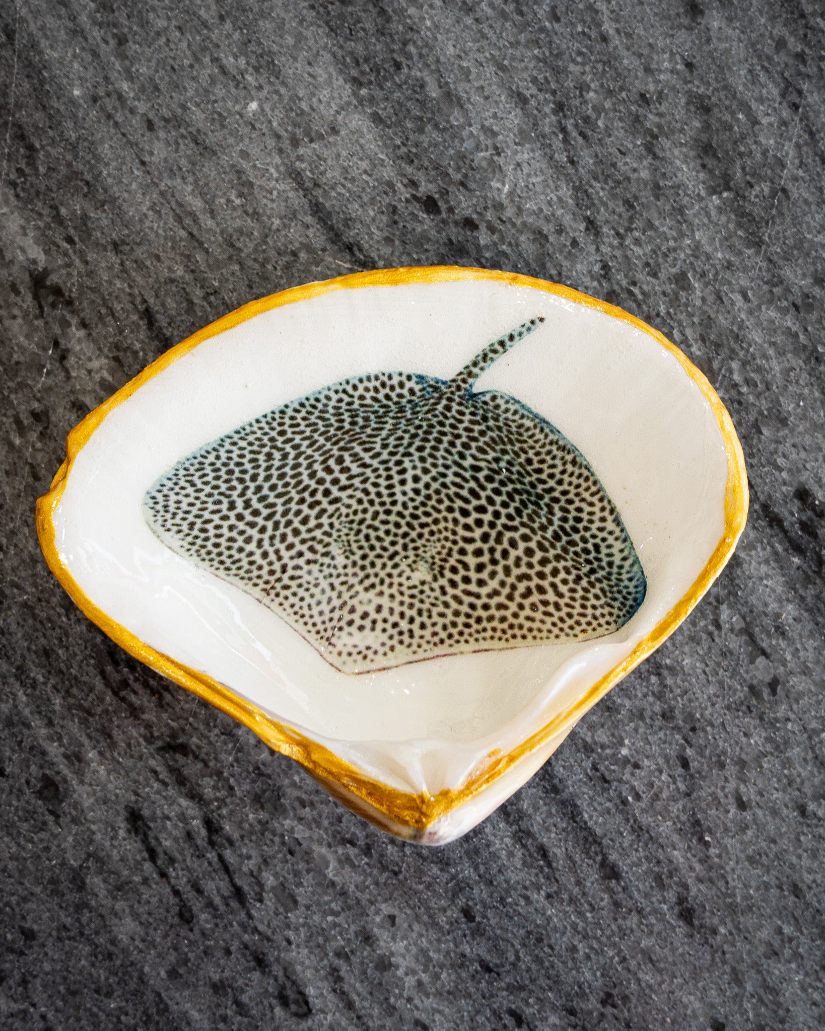 Half Clam Shell, Stingray