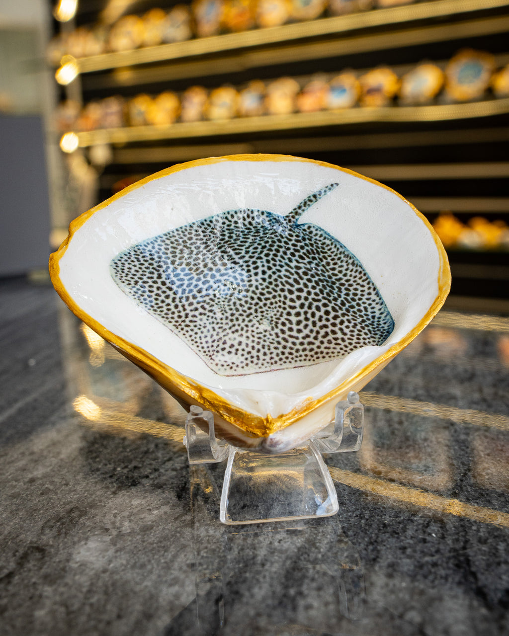 Half Clam Shell, Stingray