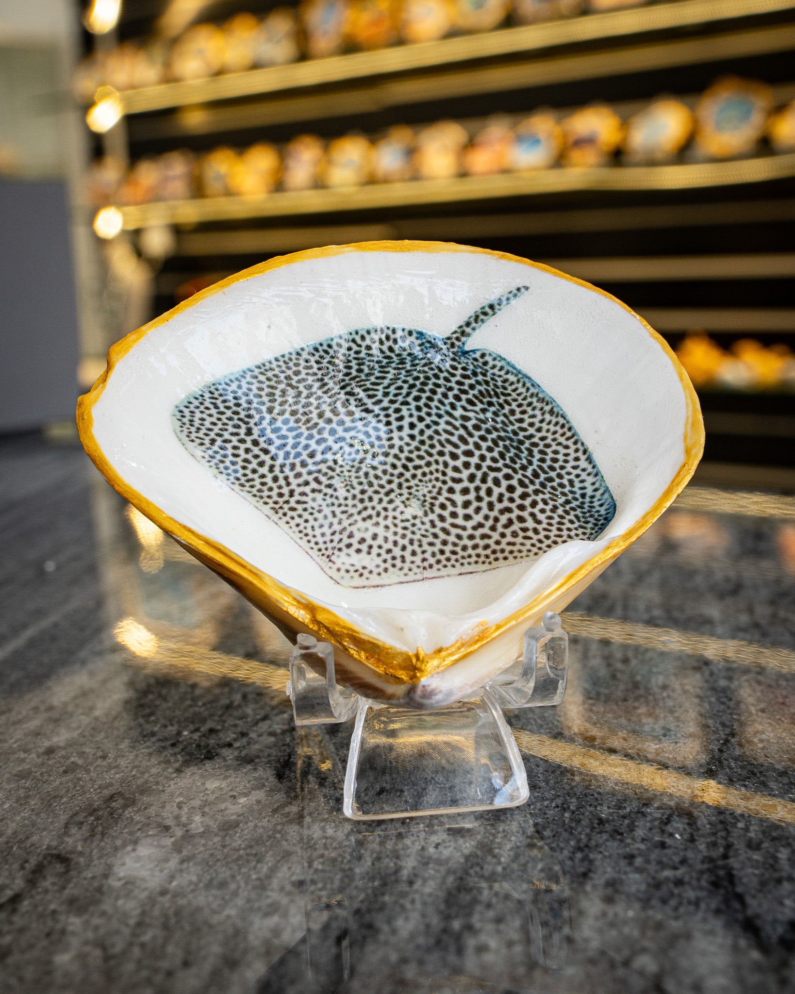 Half Clam Shell, Stingray