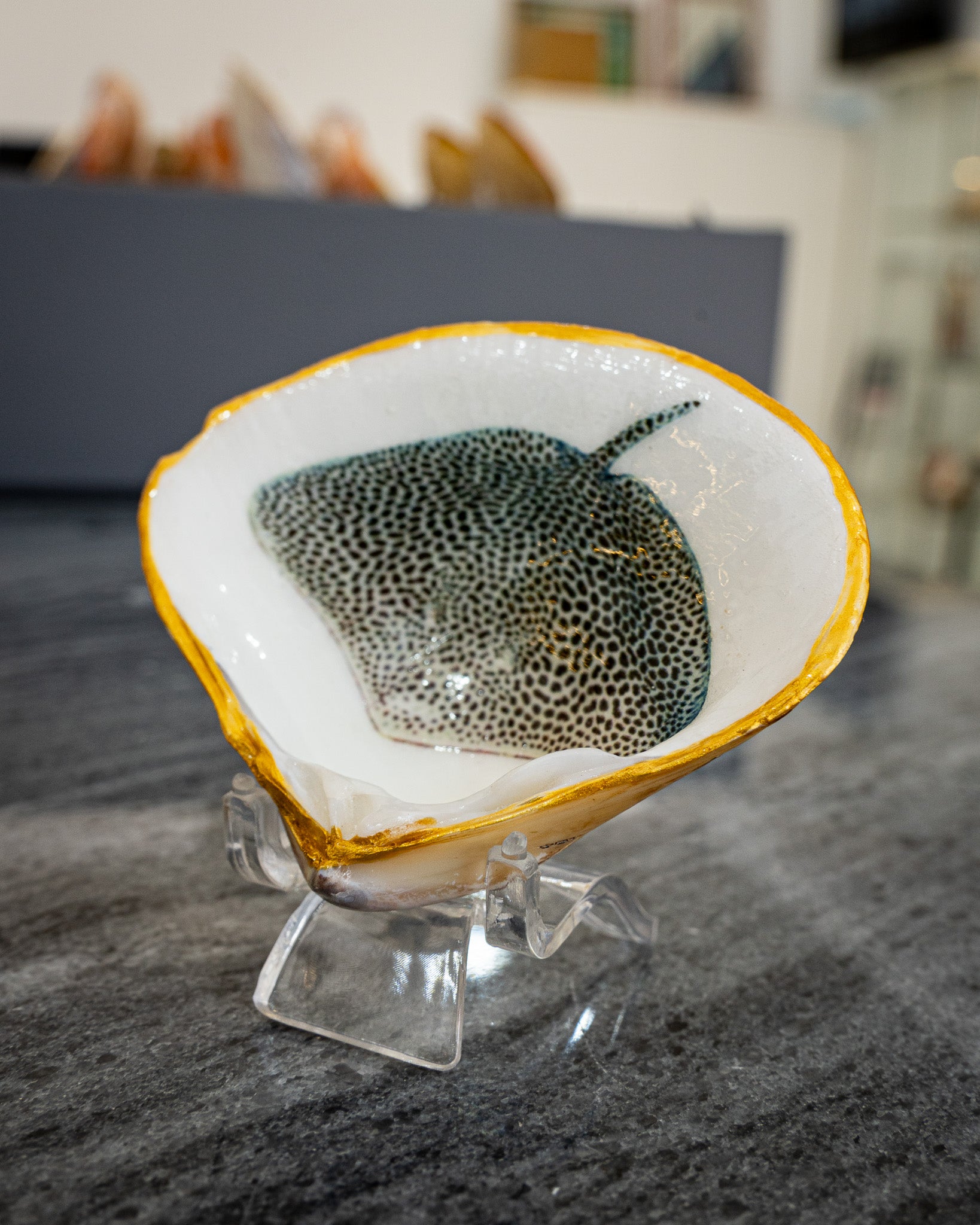 Half Clam Shell, Stingray