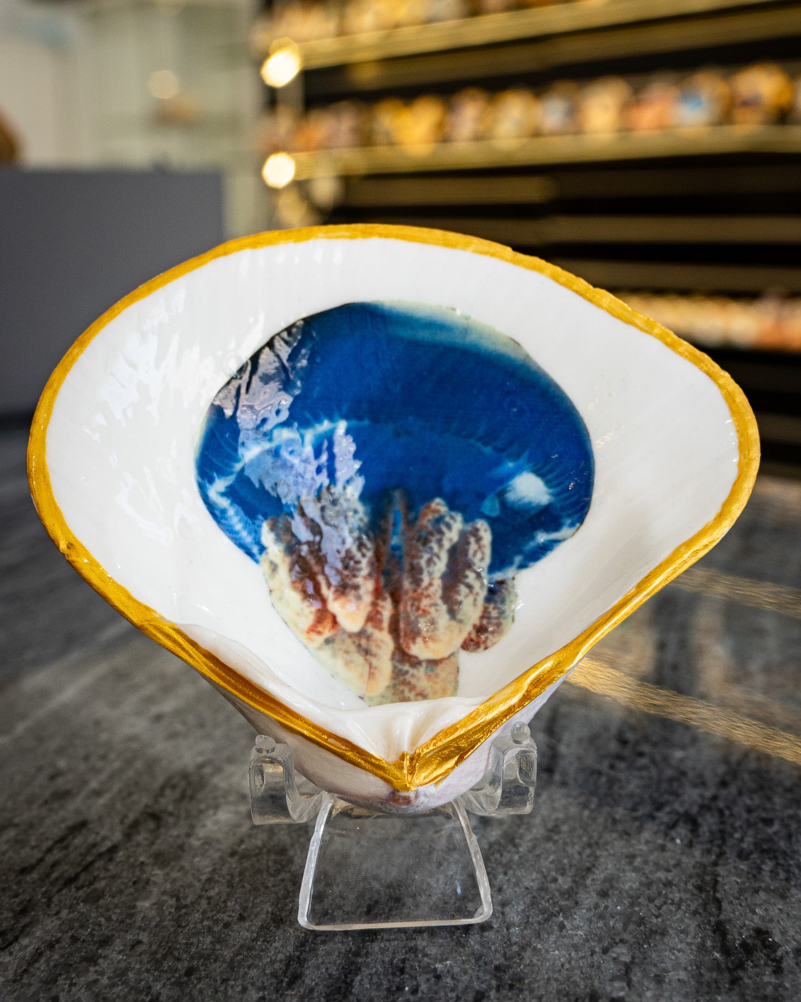 Half Clam Shell, Jellyfish