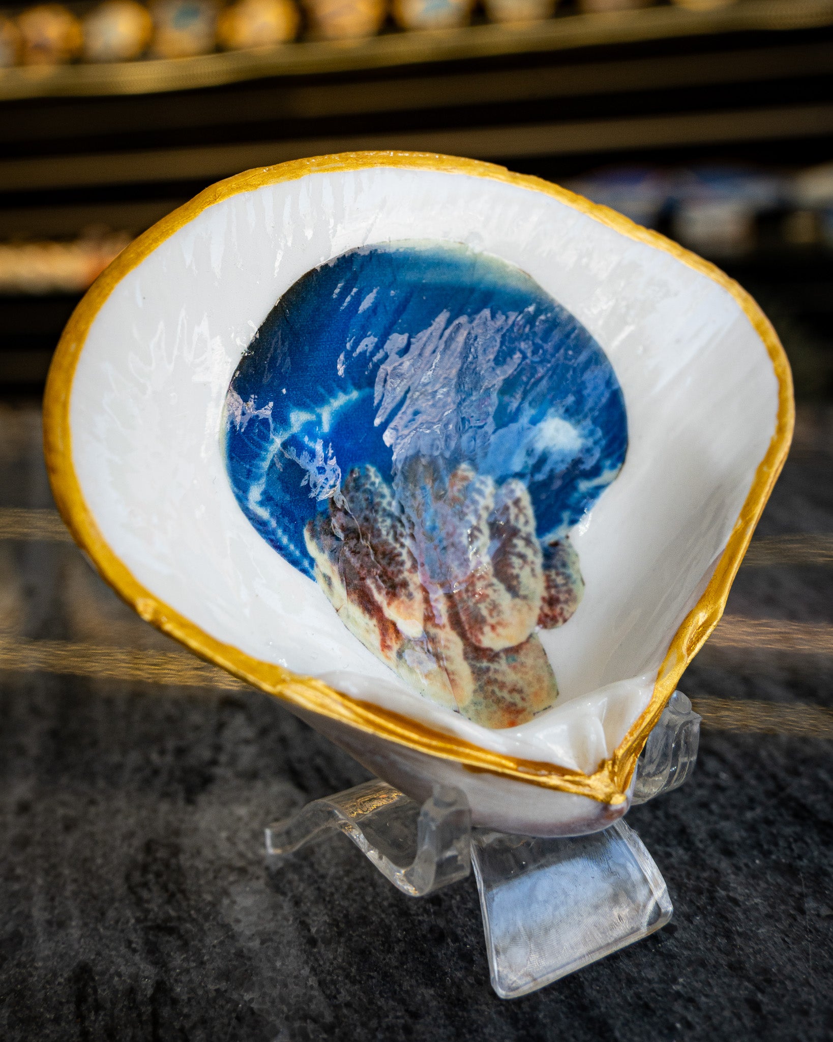 Half Clam Shell, Jellyfish