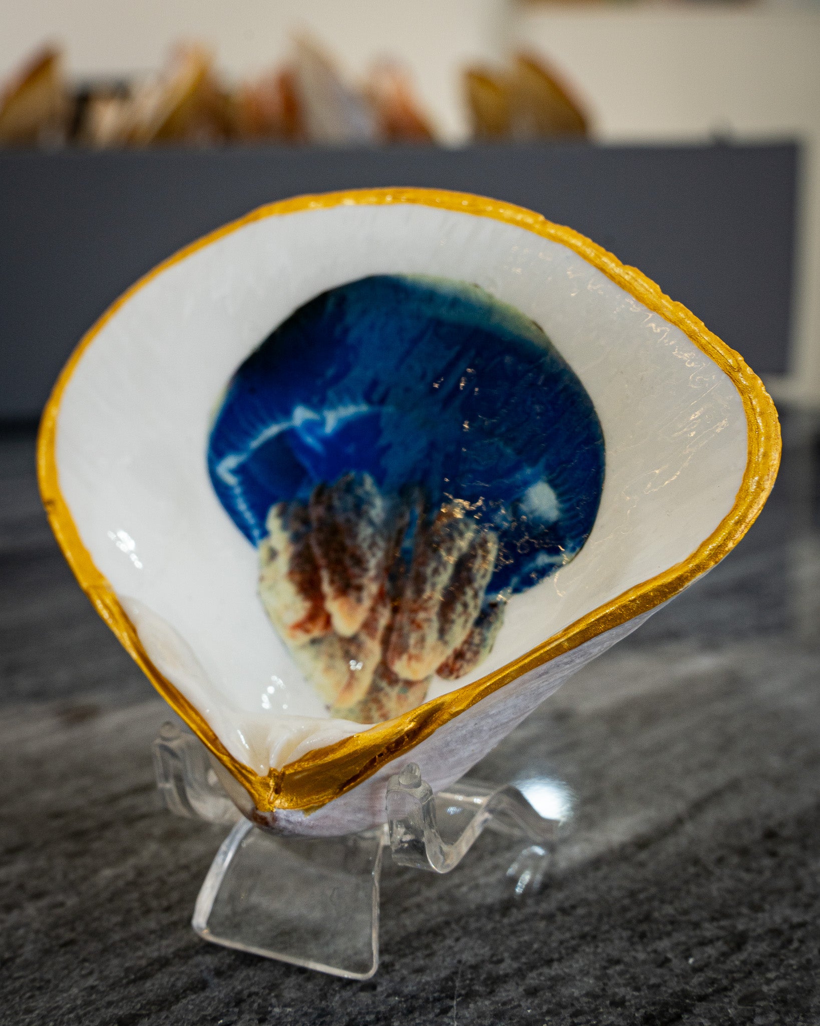 Half Clam Shell, Jellyfish