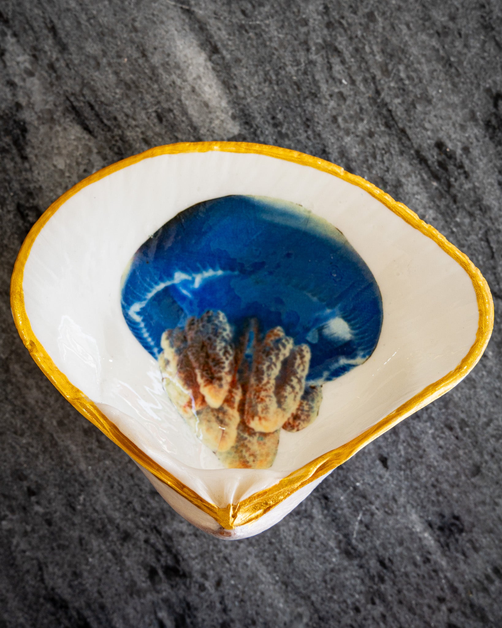 Half Clam Shell, Jellyfish