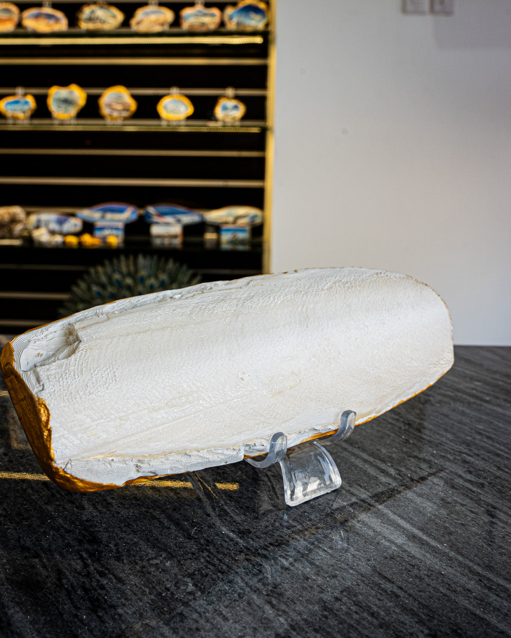 Perfect Cuttlefish Art, UAE Vibe