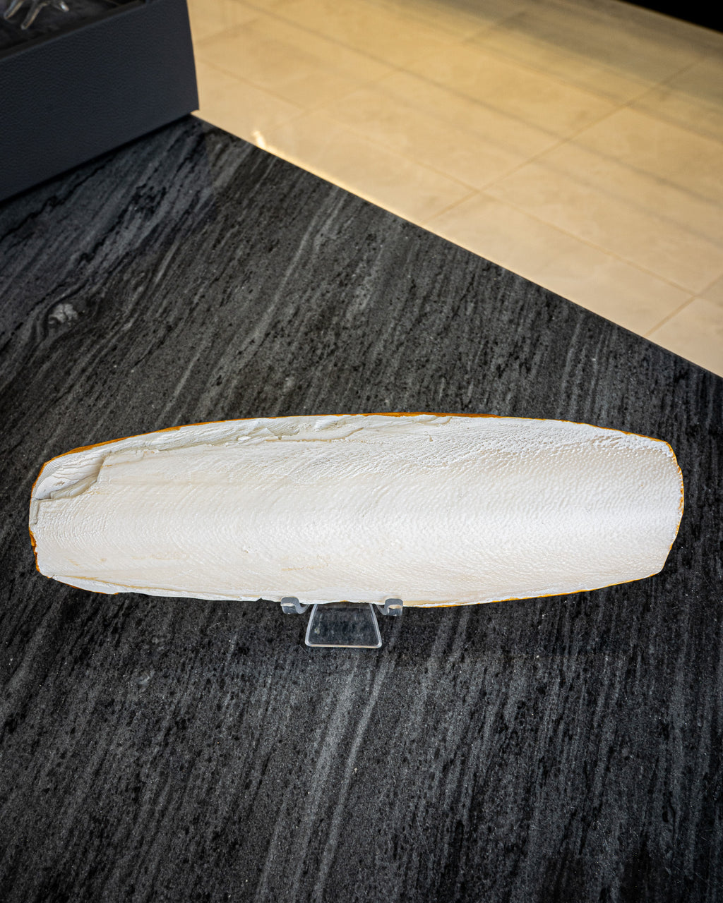 Perfect Cuttlefish Art, UAE Vibe