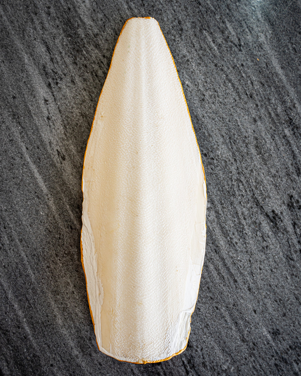 Perfect Cuttlefish Art, Burj khalifa