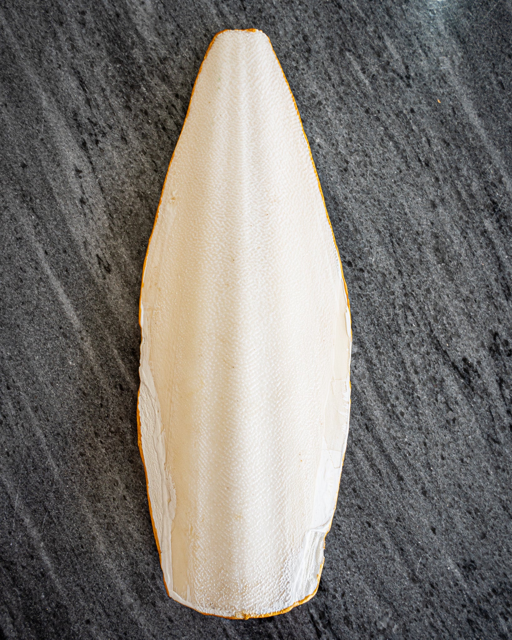 Perfect Cuttlefish Art, Burj khalifa