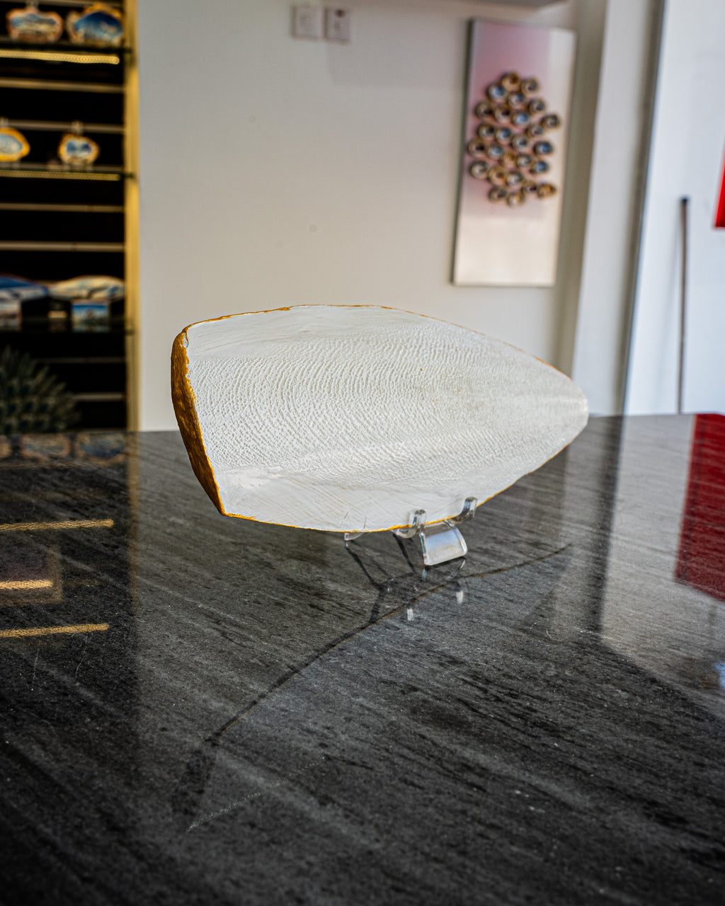 Perfect Cuttlefish Art, Dubai