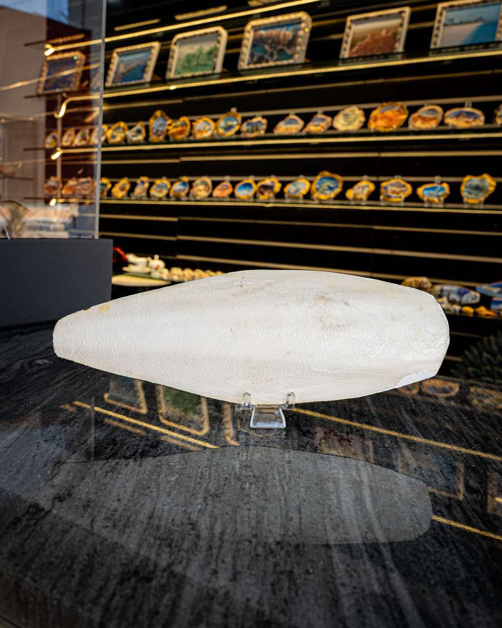 Perfect Cuttlefish Art, Burj al Arab