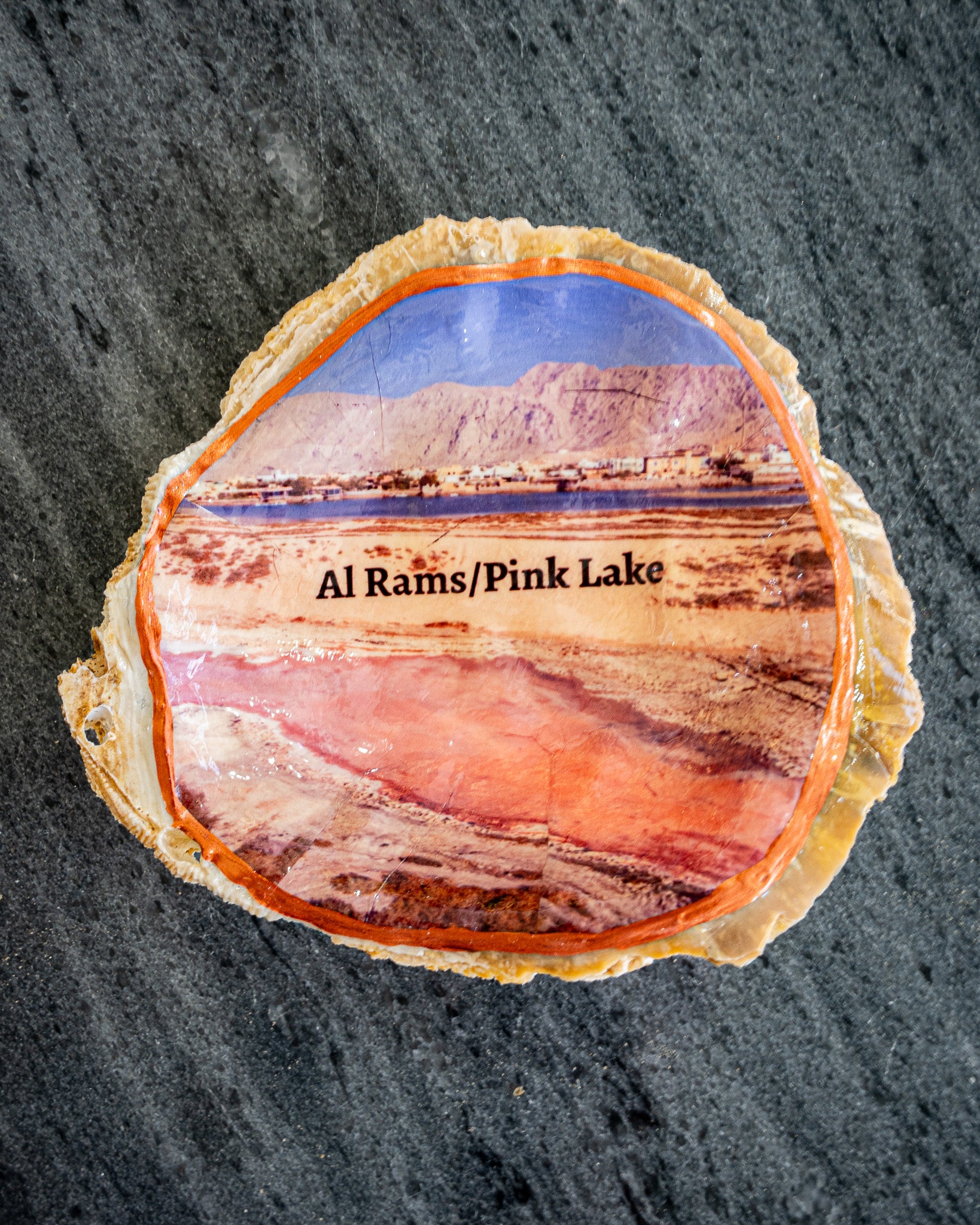 Oyster Art, Al Rams, pink lake 4"