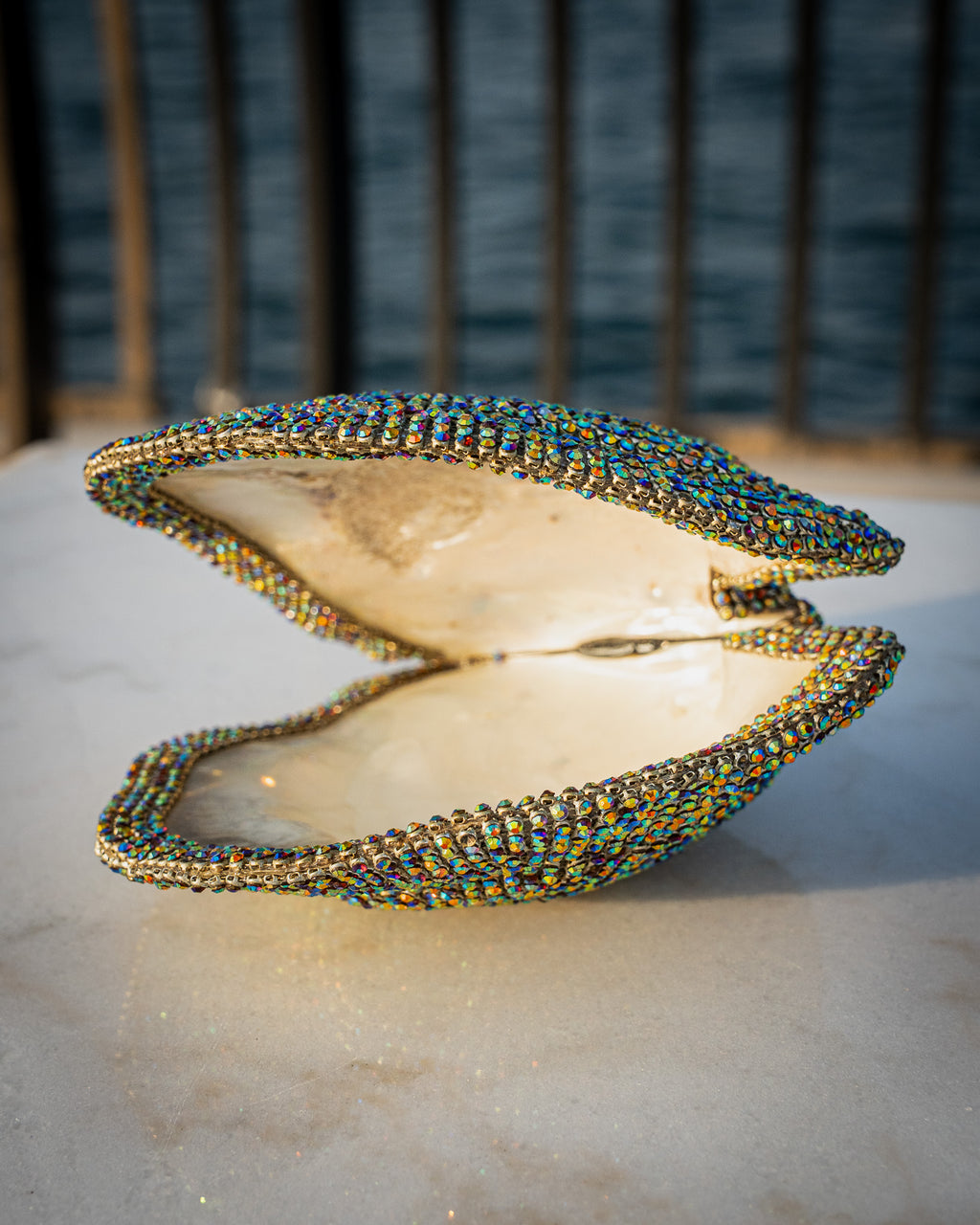 Rare large jeweled mother of pearl oyster