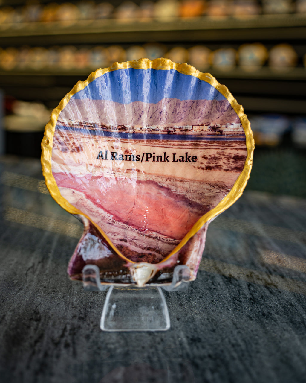 Scallop Art, Al Rams, Pink lake 4"