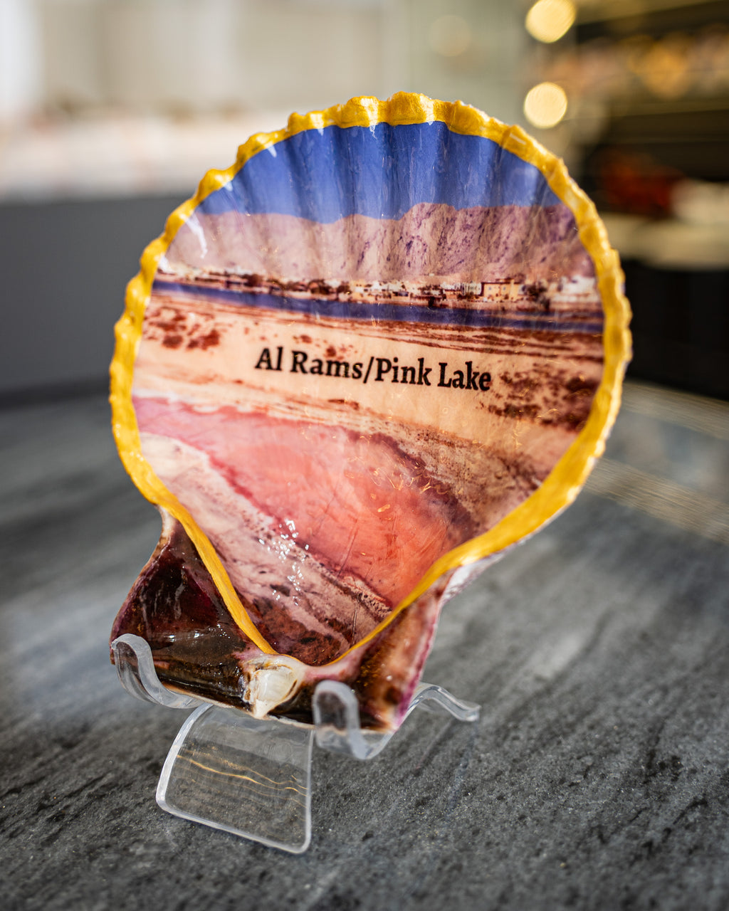 Scallop Art, Al Rams, Pink lake 4"