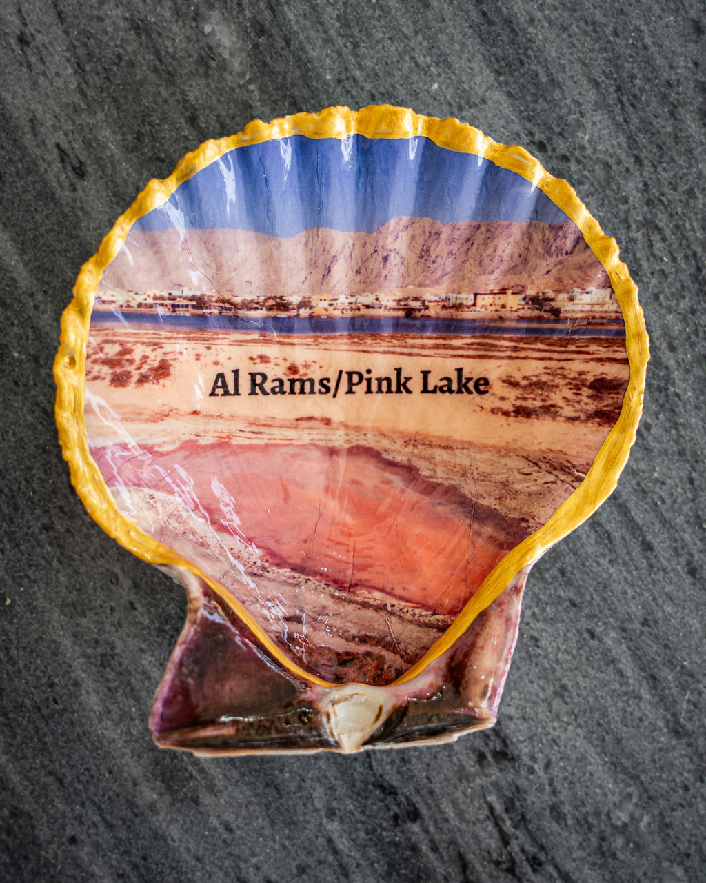 Scallop Art, Al Rams, Pink lake 4"