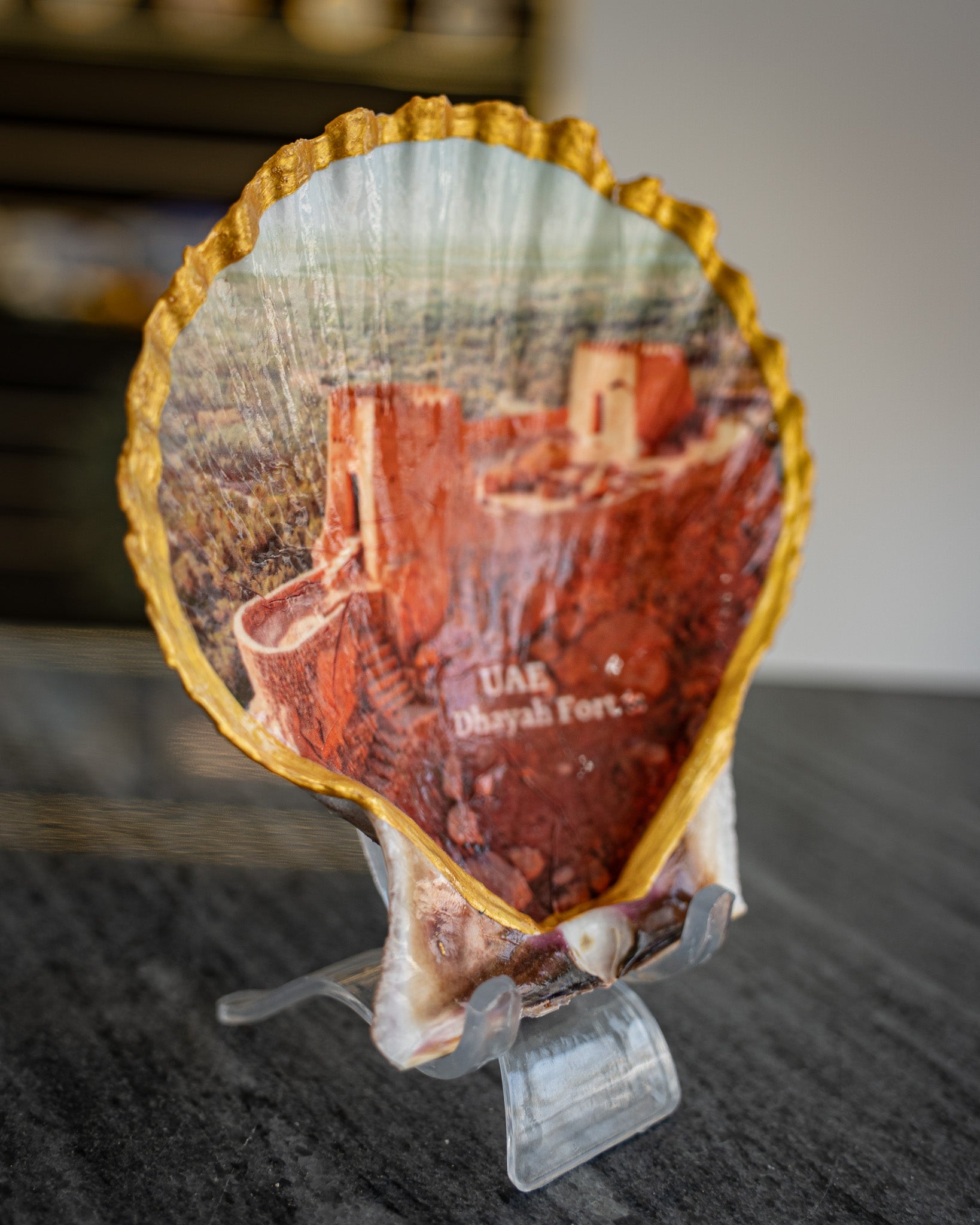 Scallop Art, Dhayah Fort 4.5"