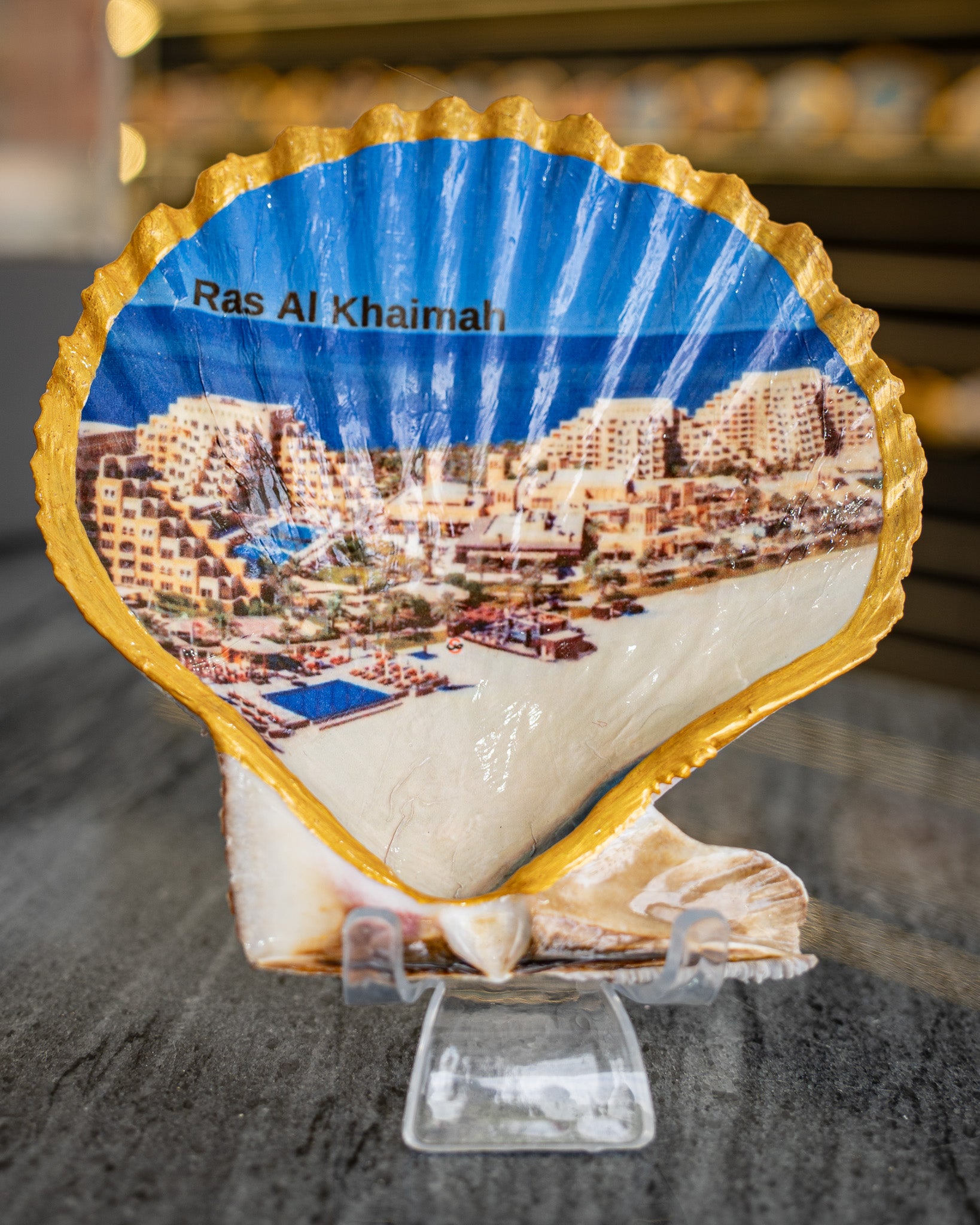 Scallop Art, Al Marjan Island 4.5"
