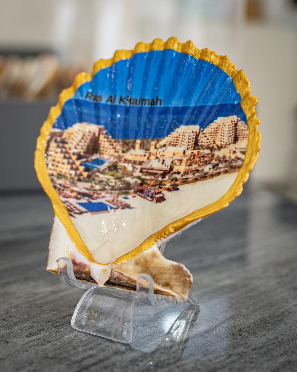 Scallop Art, Al Marjan Island 4.5"